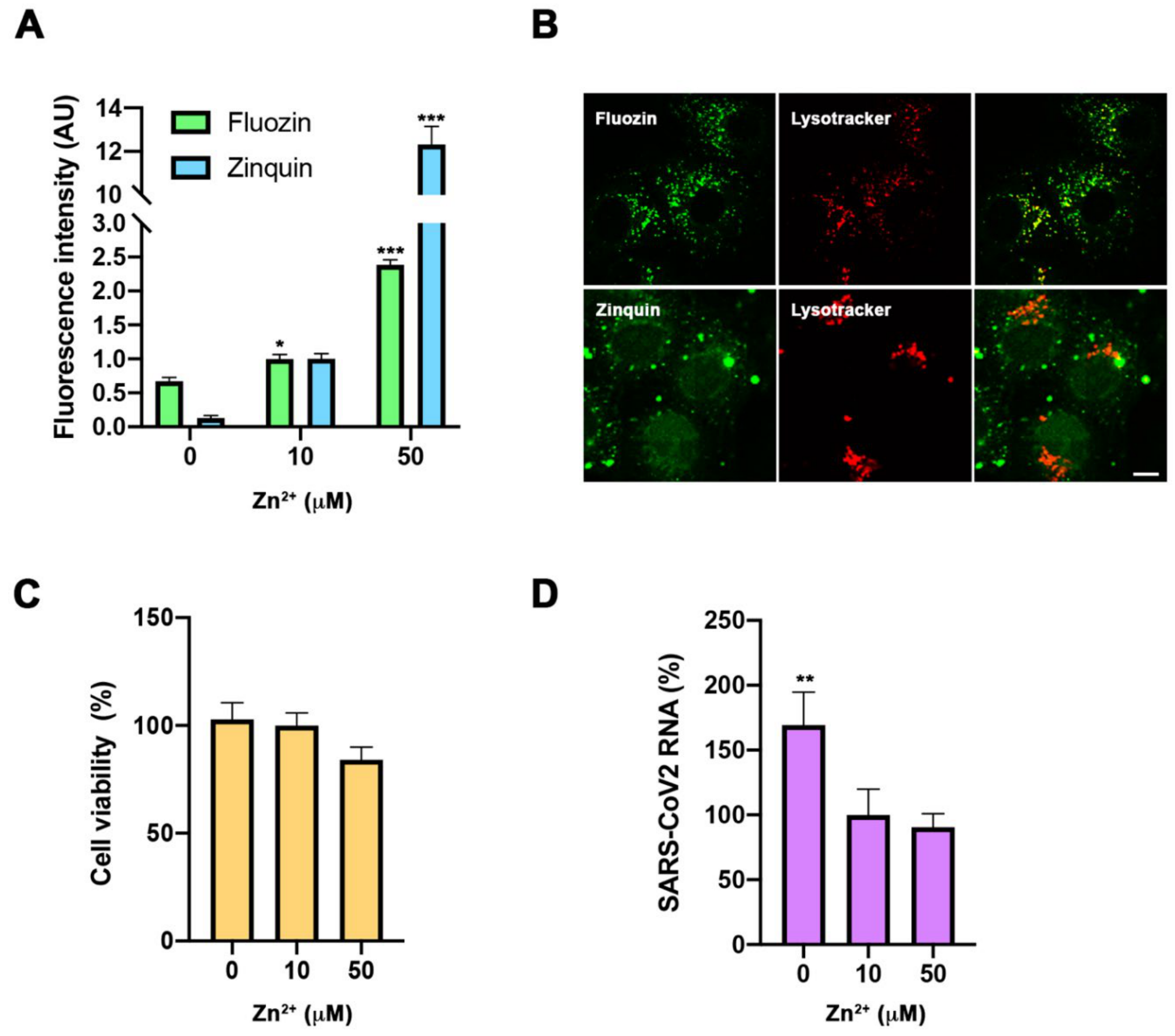 Nutrients 13 00562 g002