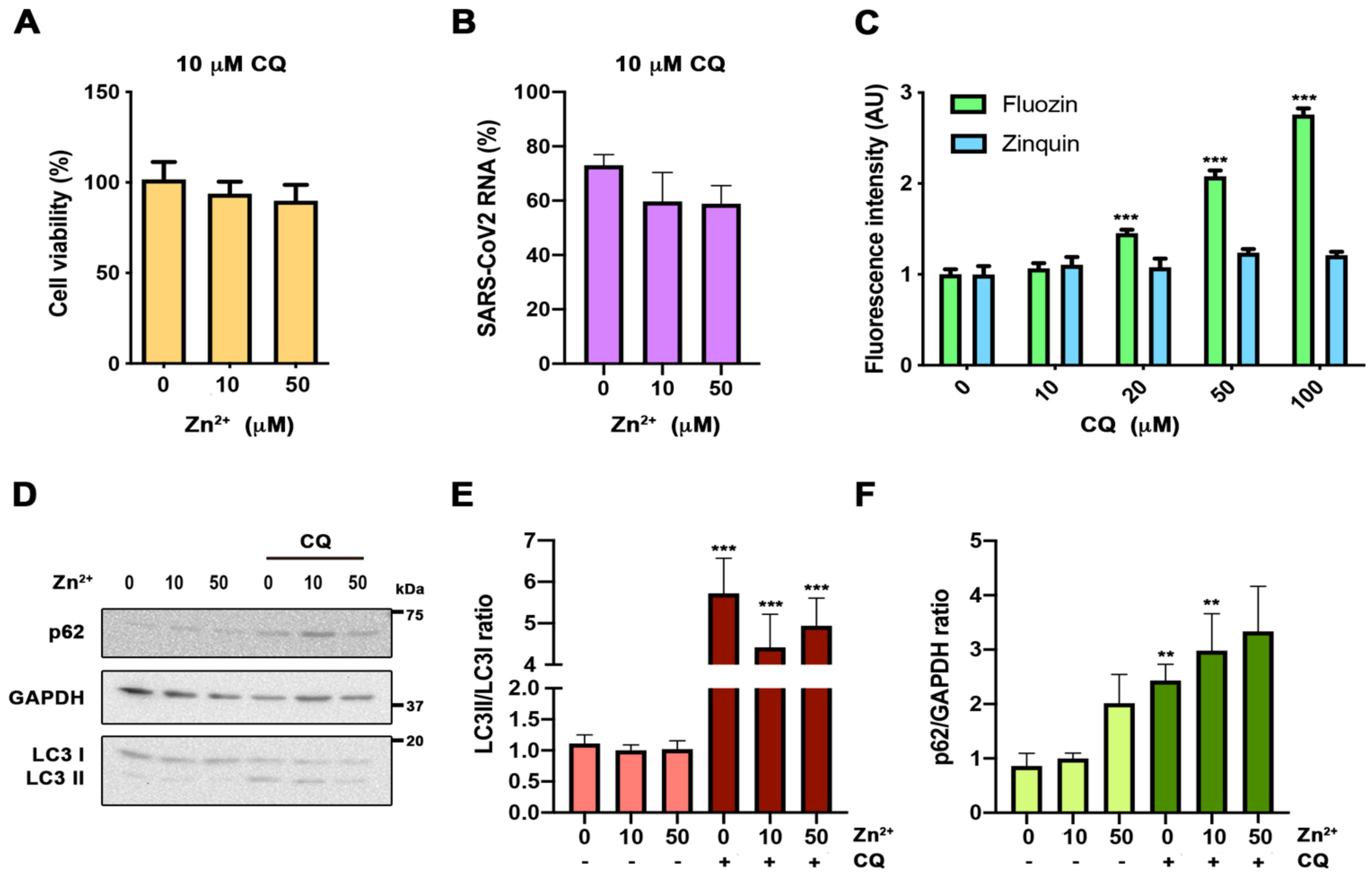 Nutrients 13 00562 g003