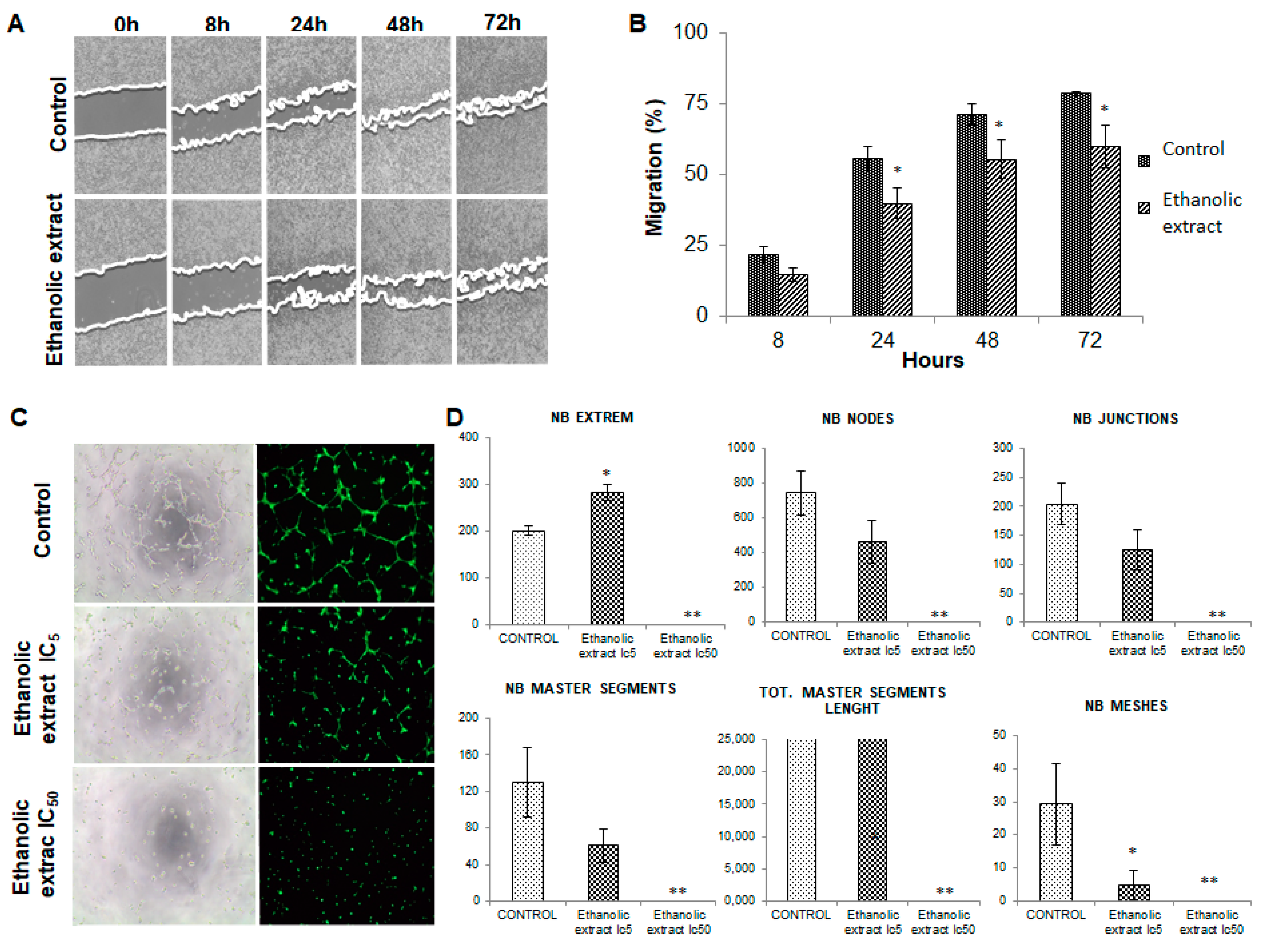 Nutrients 13 00566 g004
