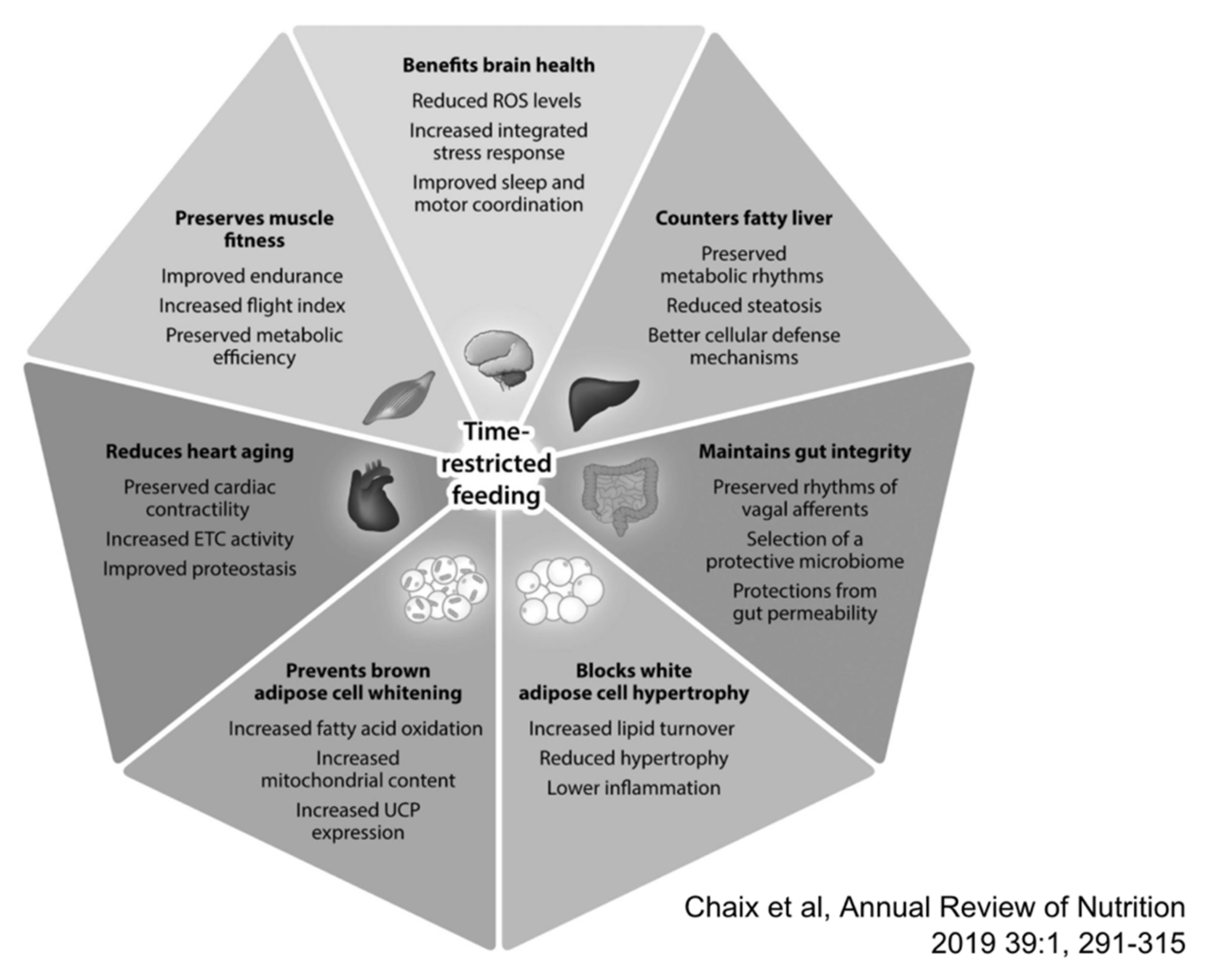 Nutrients 13 00584 g002