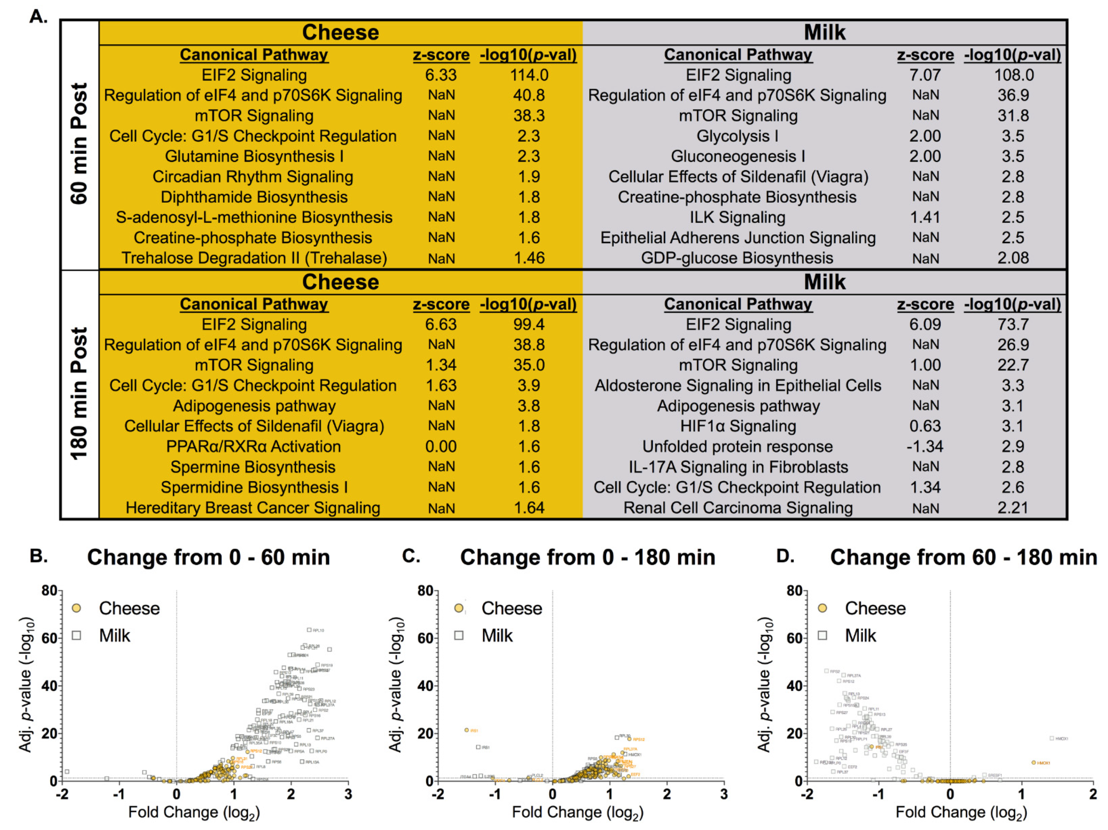 Nutrients 13 00614 g006