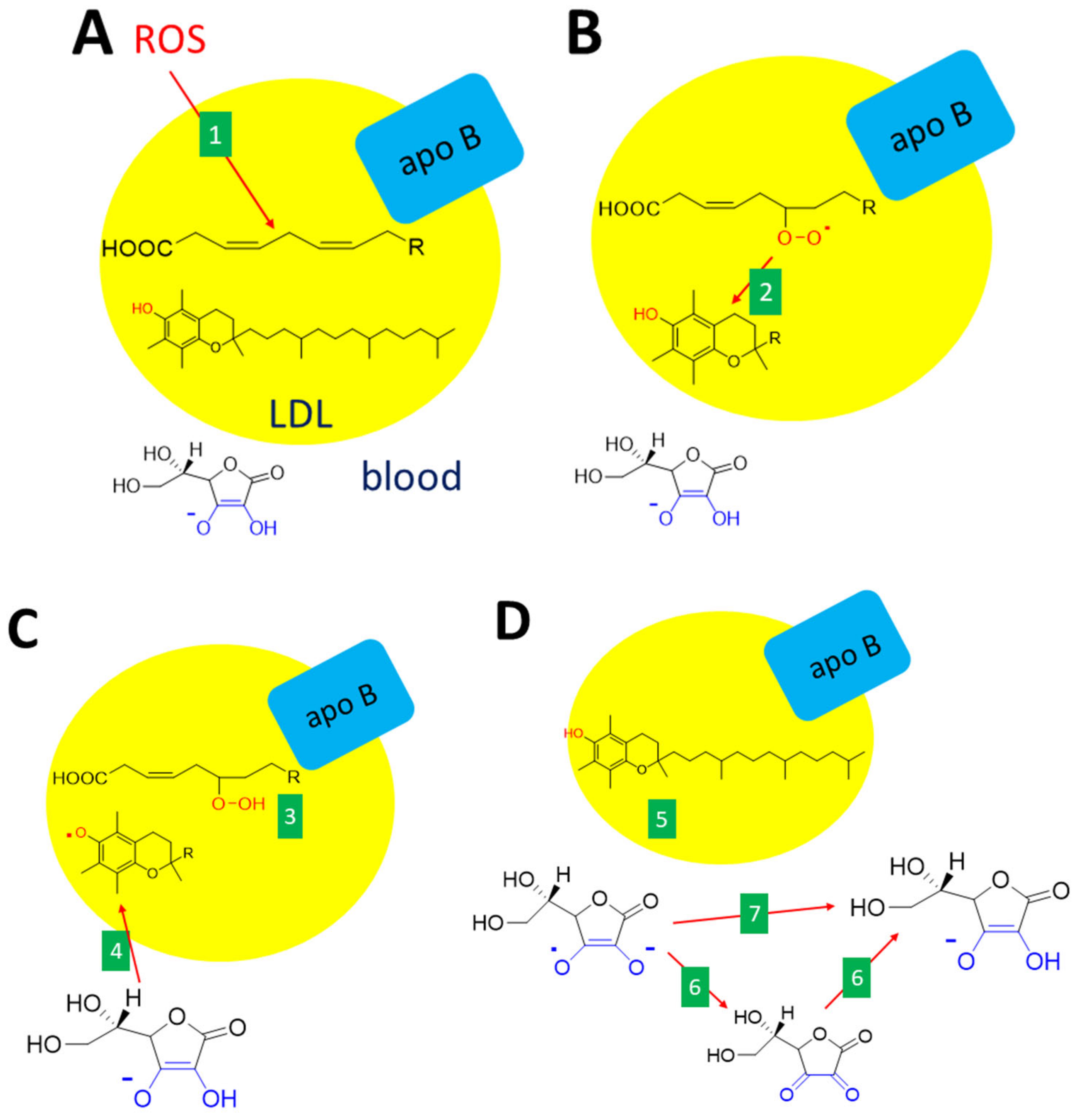 Nutrients 13 00615 g008