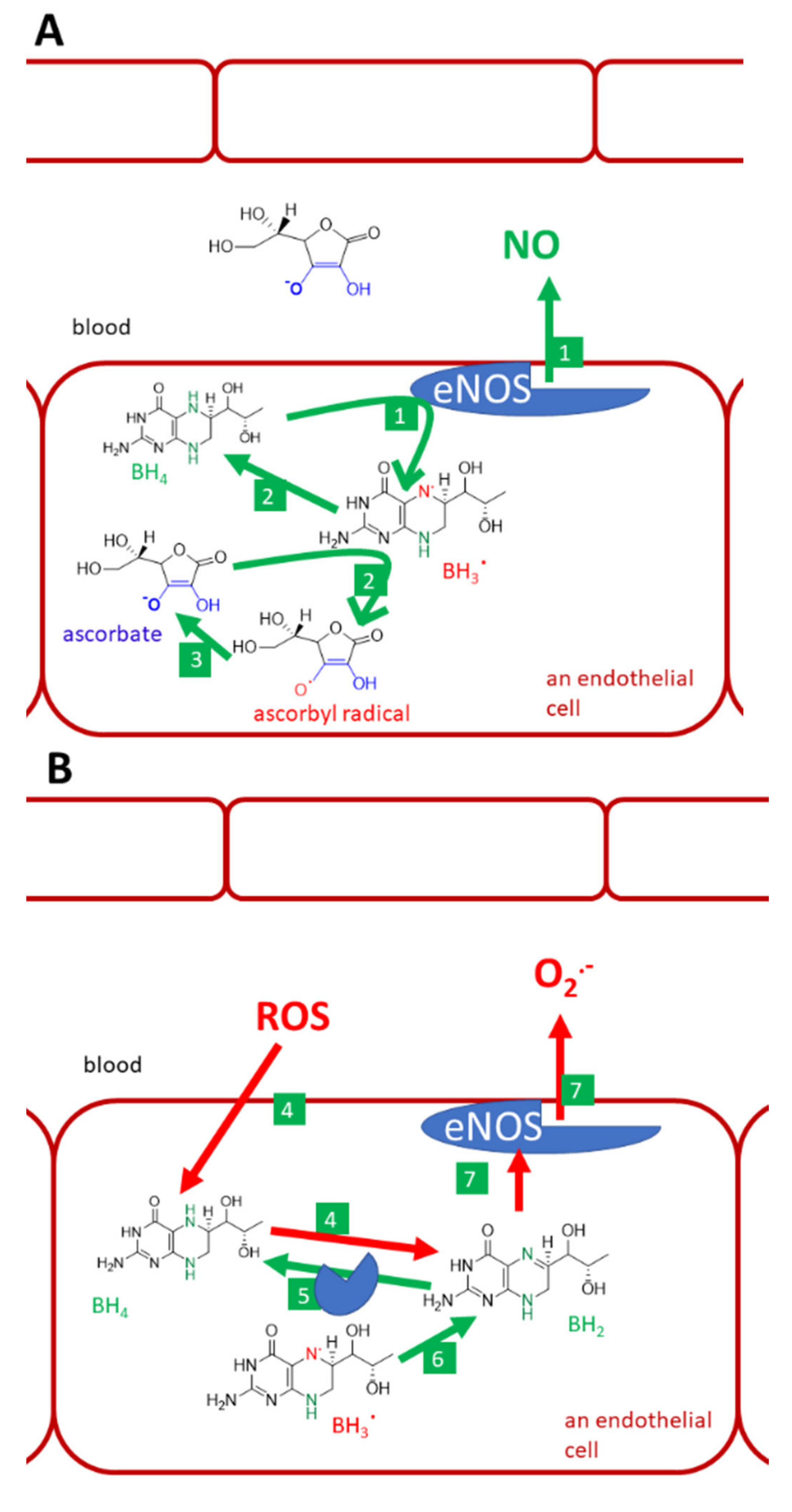 Nutrients 13 00615 g009a