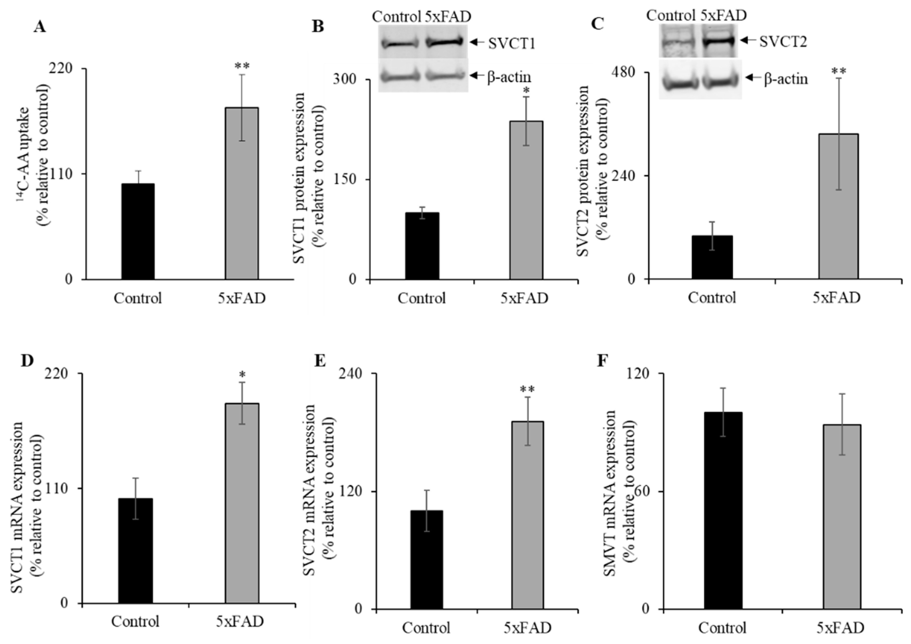 Nutrients 13 00617 g003 Nutrients 13 00617 g003