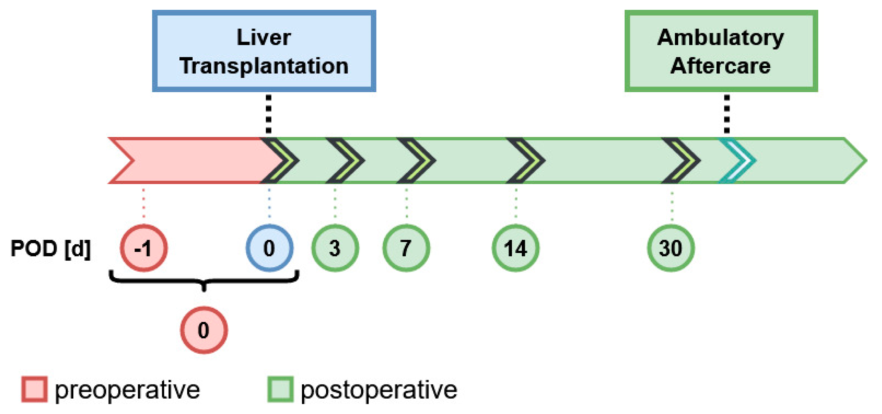 Nutrients 13 00619 g001