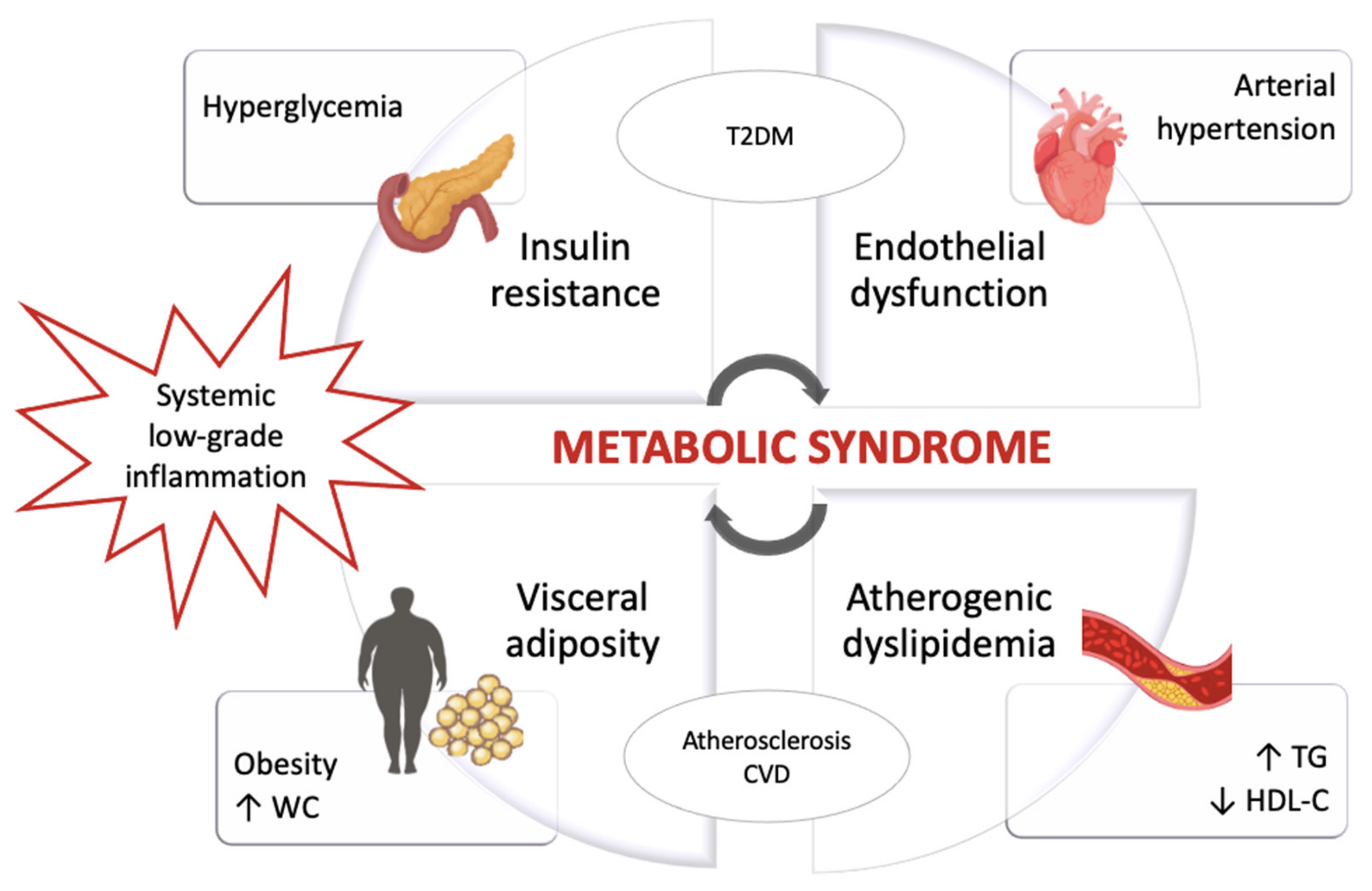 Nutrients 13 00630 g001