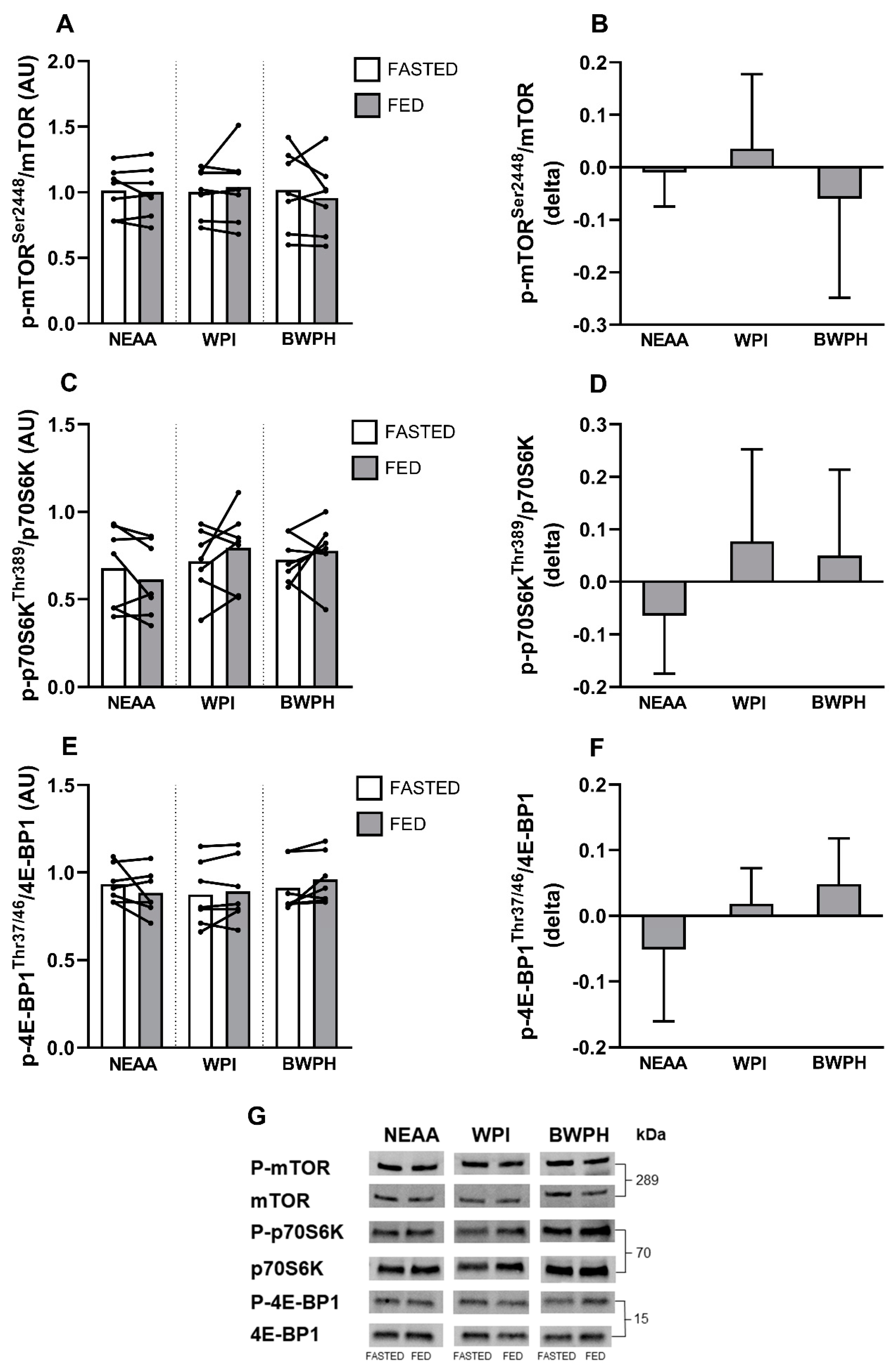 Nutrients 13 00647 g002