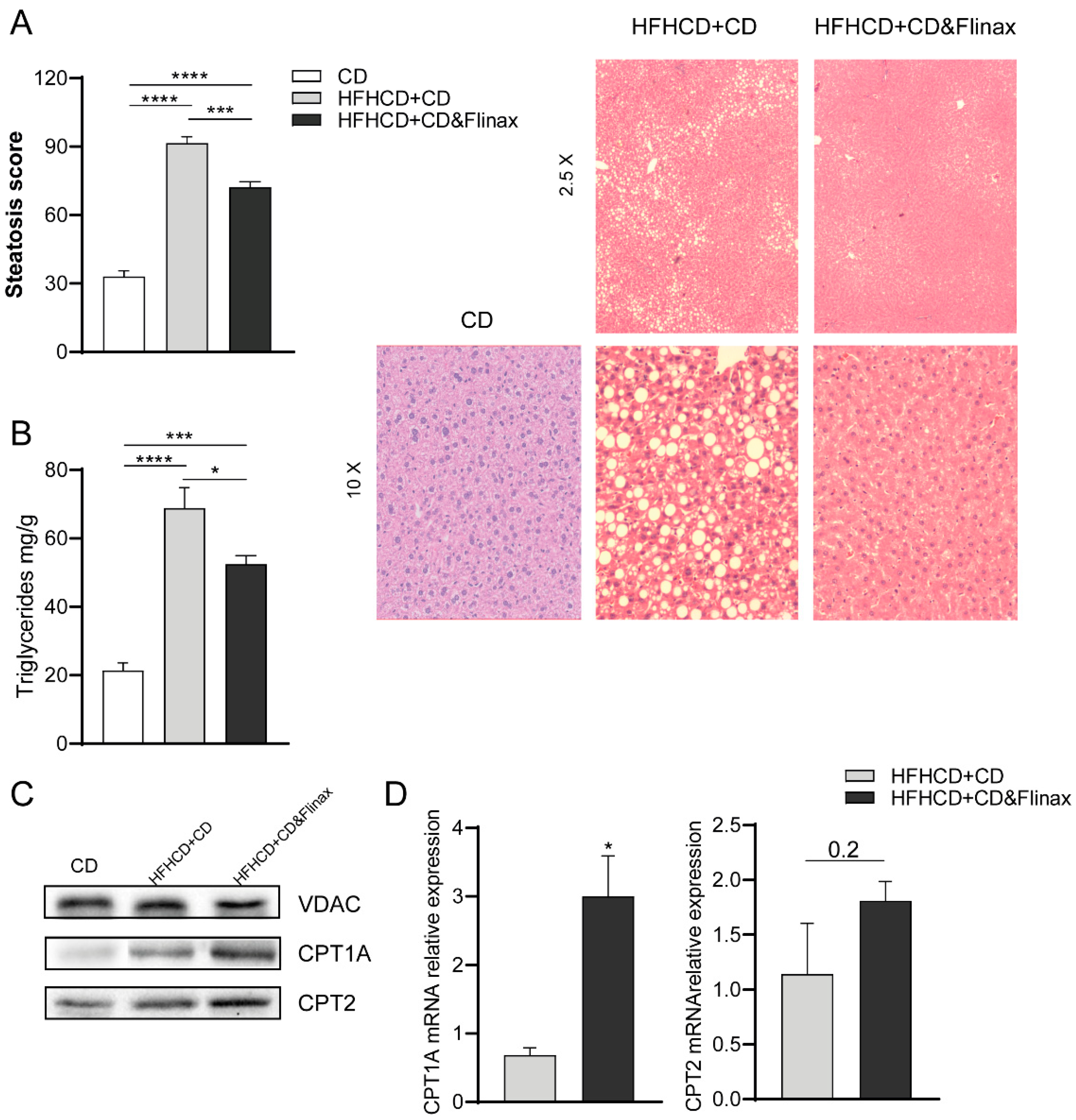Nutrients 13 00652 g002 Nutrients 13 00652 g002