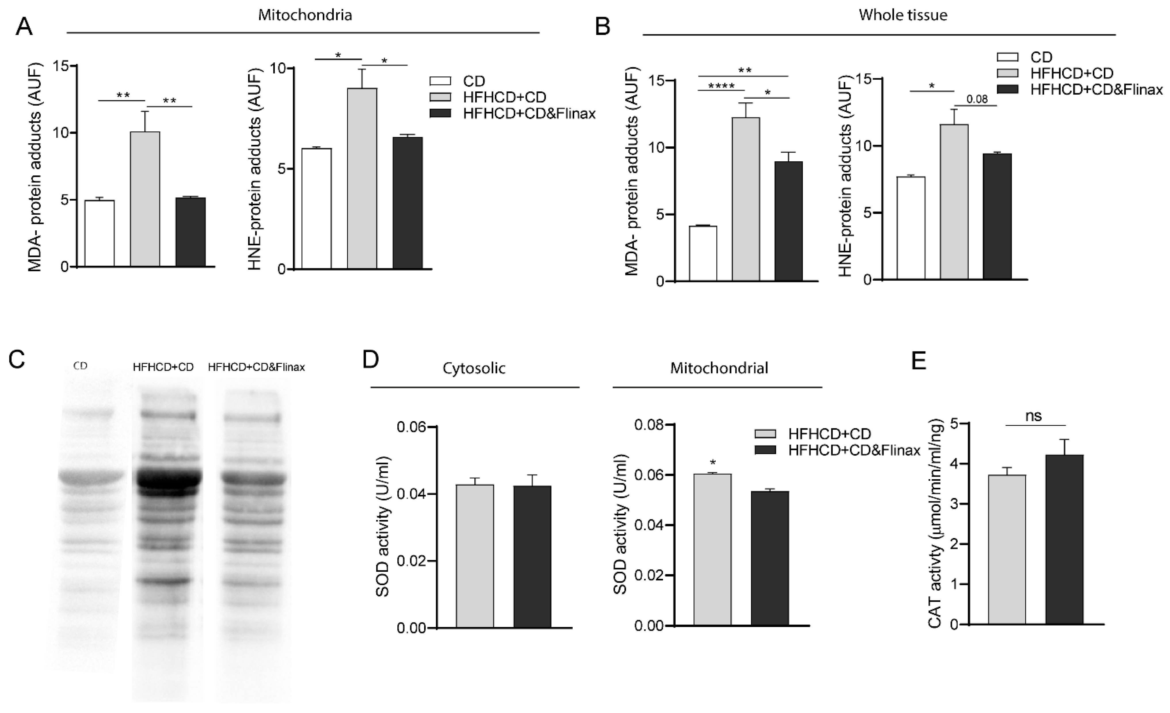 Nutrients 13 00652 g003 Nutrients 13 00652 g003