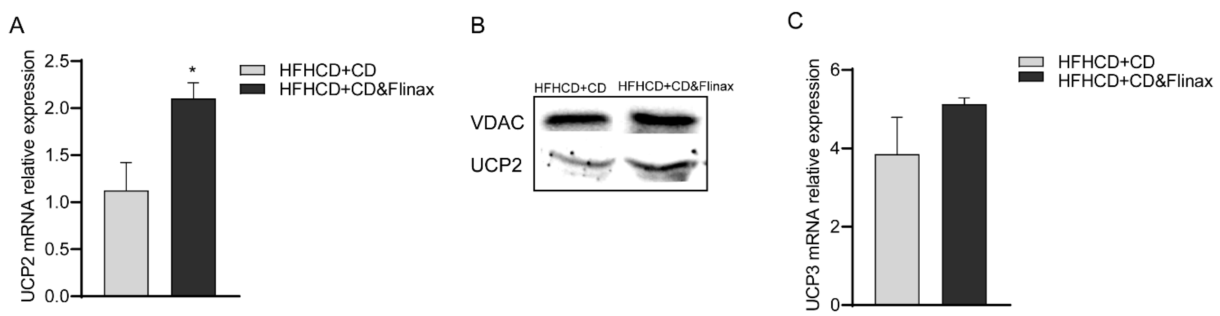 Nutrients 13 00652 g006 Nutrients 13 00652 g006