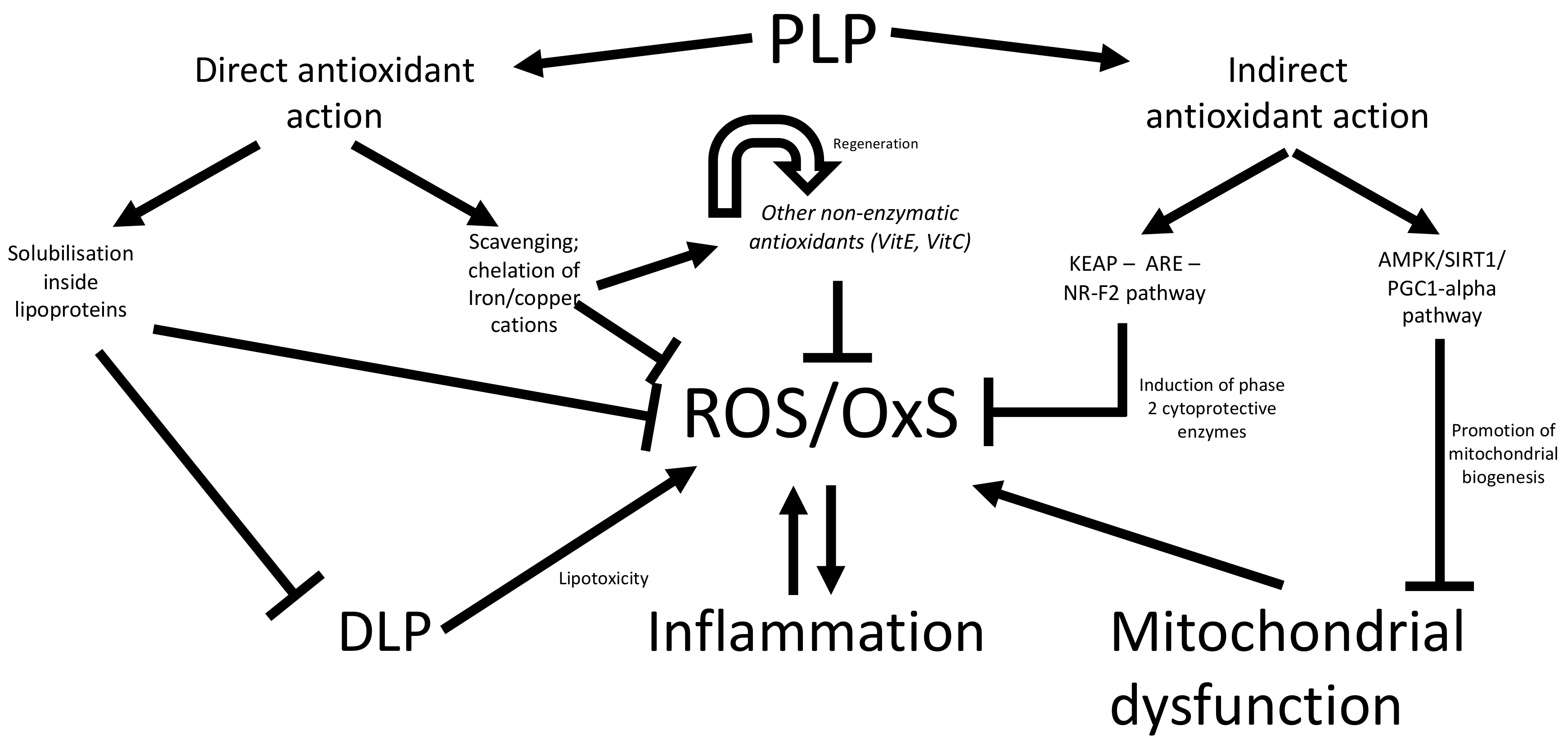 Nutrients 13 00672 g006 Nutrients 13 00672 g006