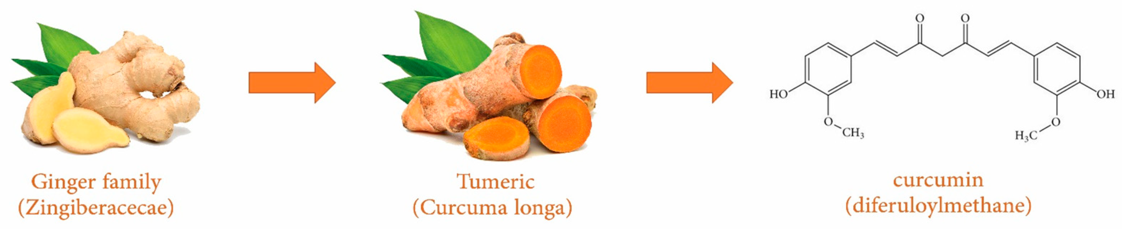 Nutrients 13 00680 g001