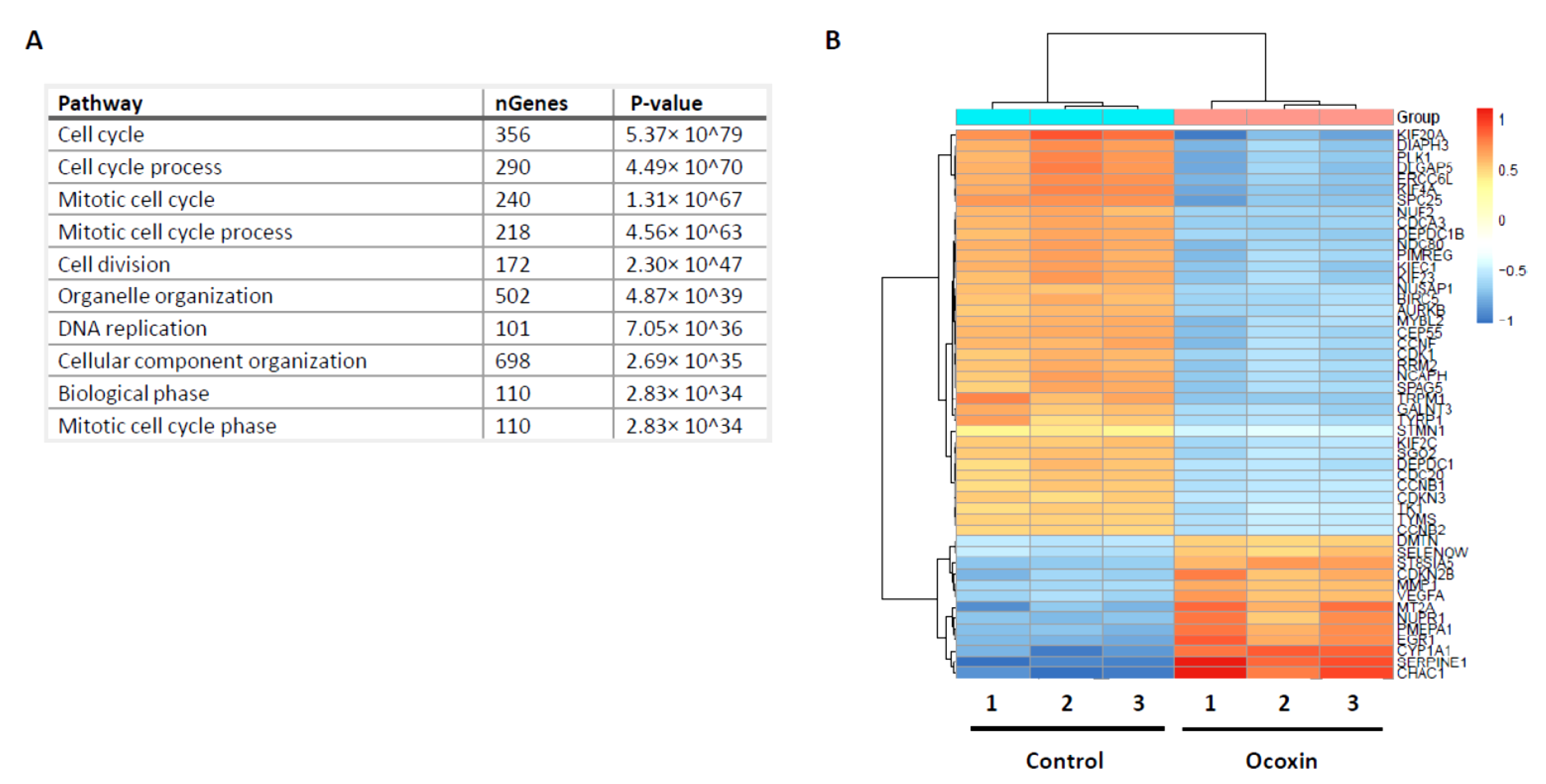 Nutrients 13 00686 g007