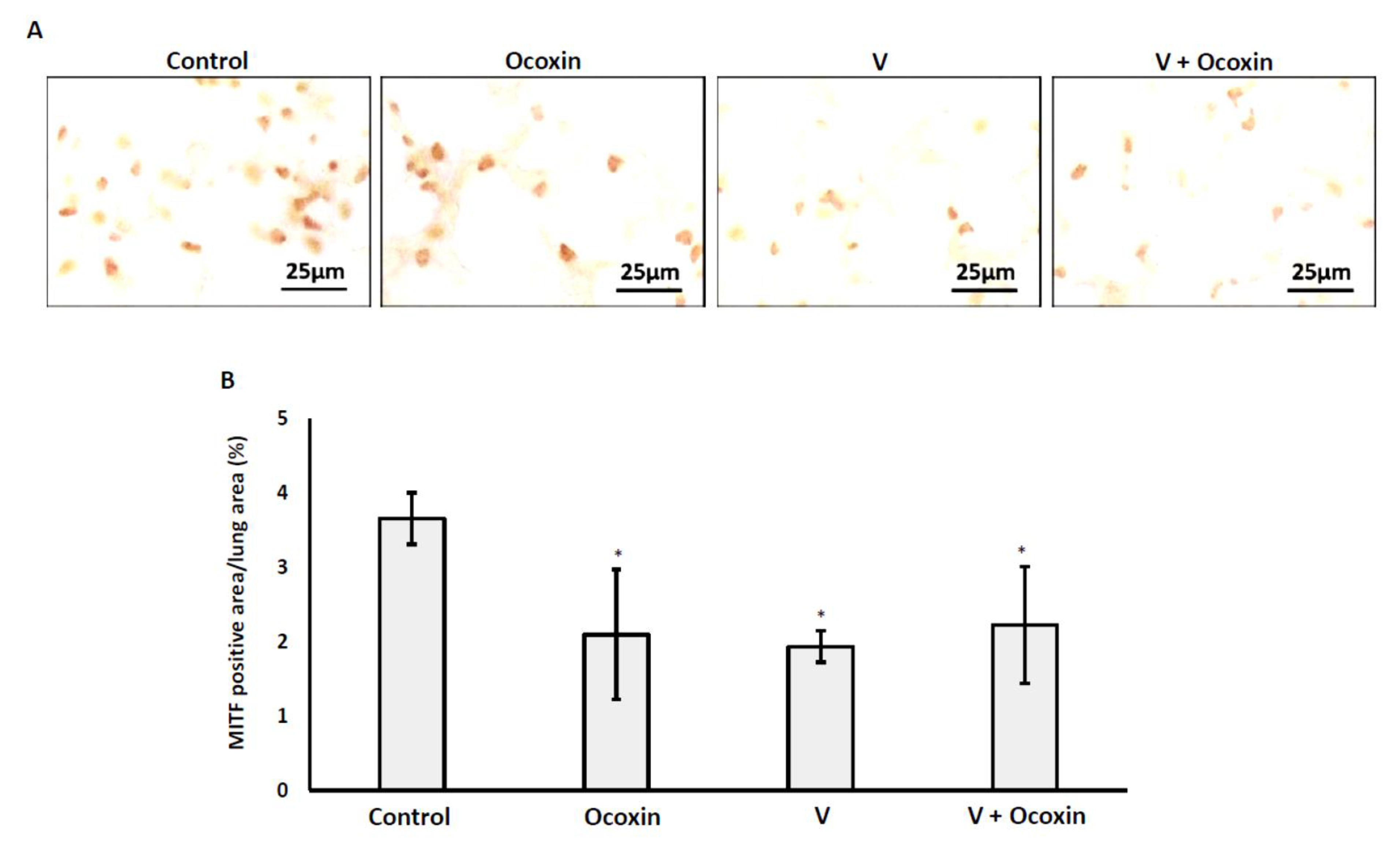 Nutrients 13 00686 g008