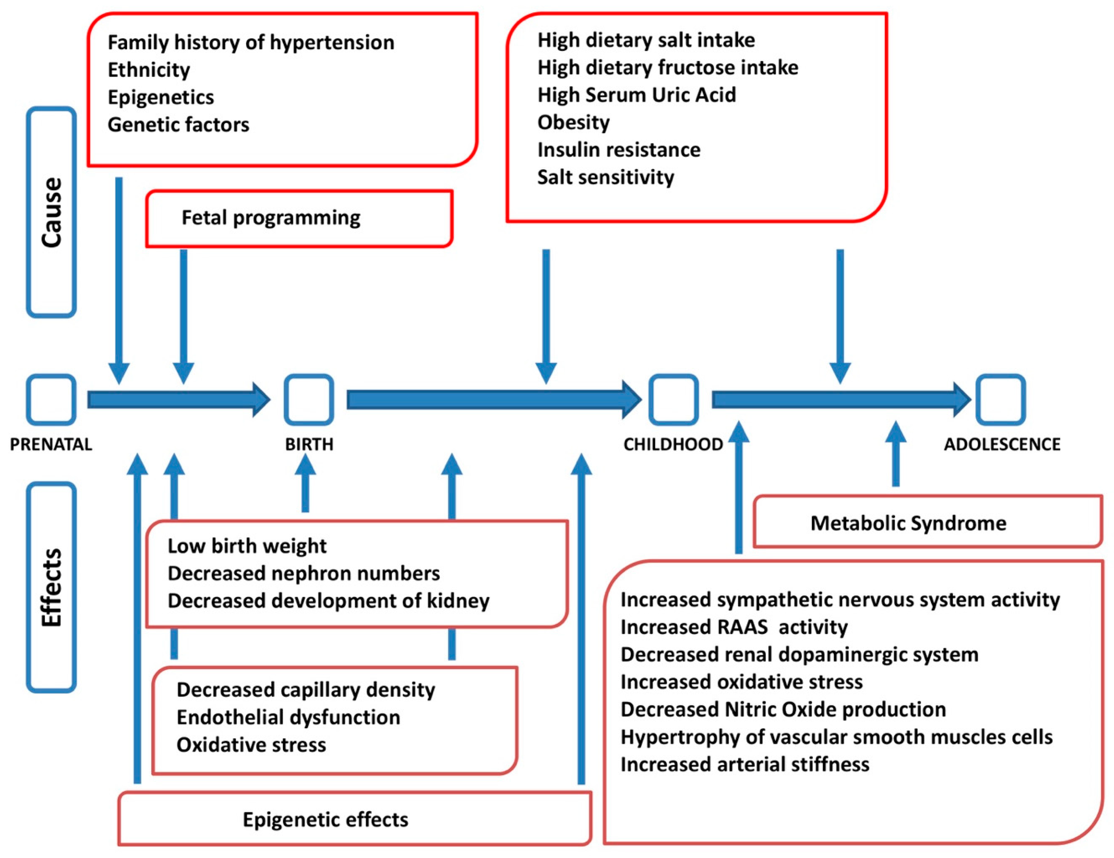 Nutrients 13 00697 g001