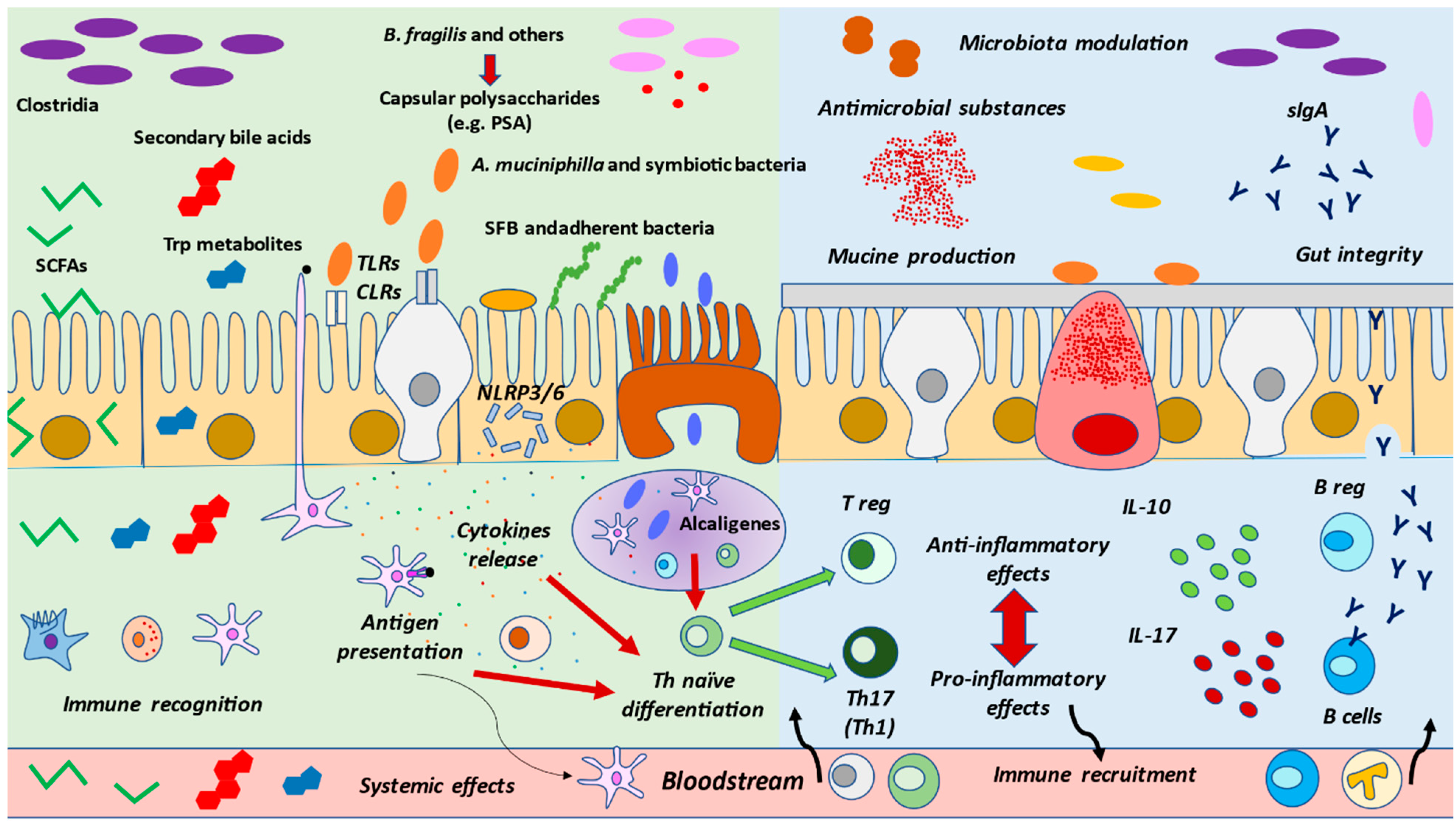 Nutrients 13 00699 g002