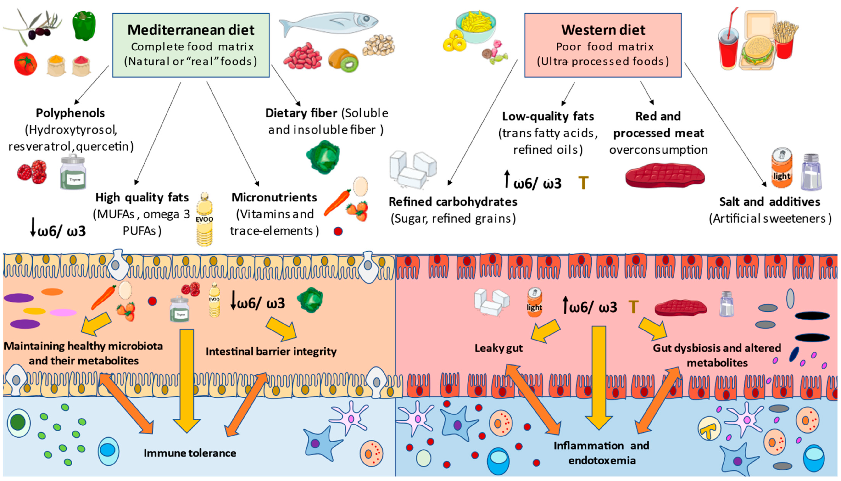 Nutrients 13 00699 g003