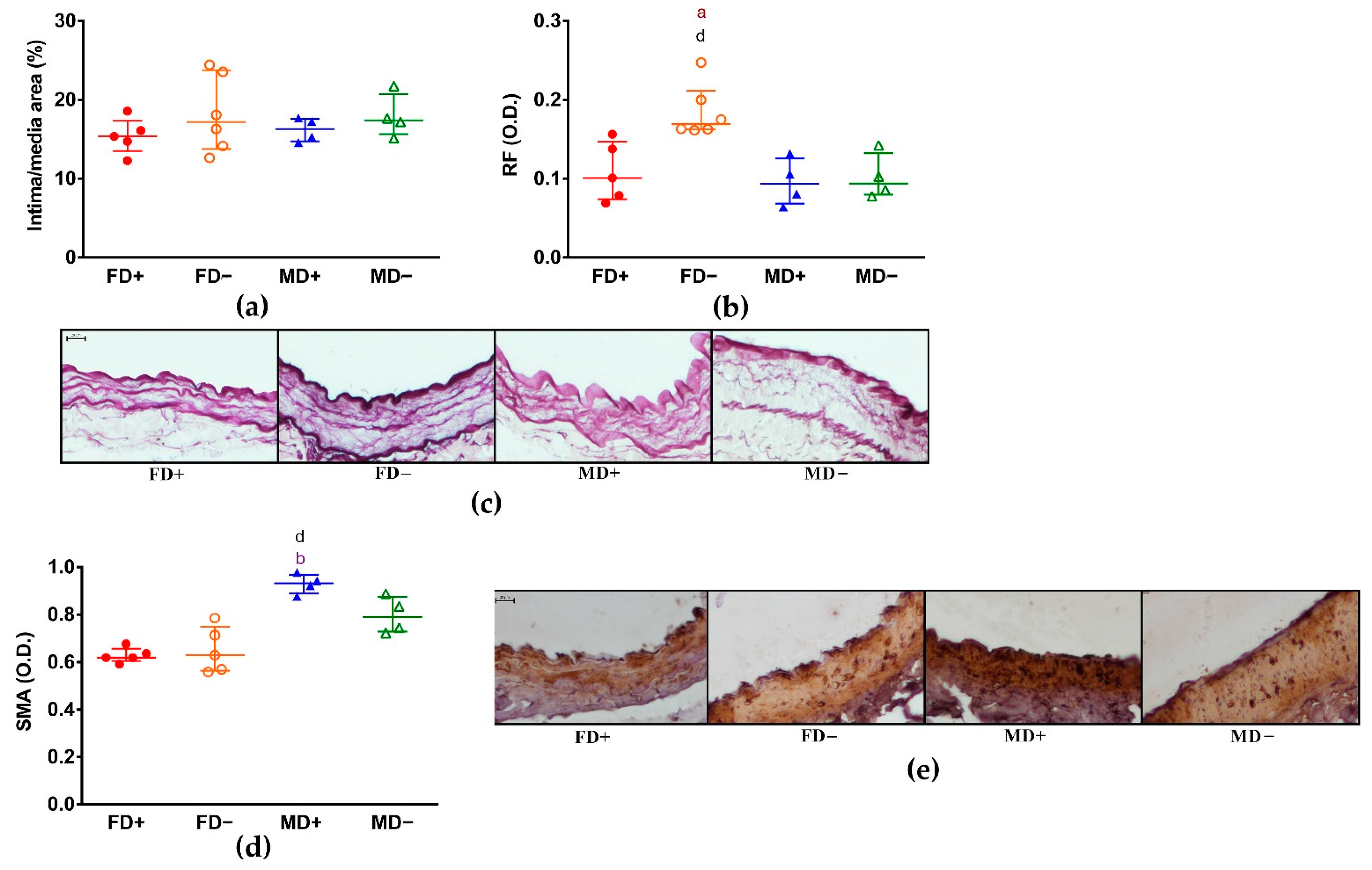 Nutrients 13 00704 g003a Nutrients 13 00704 g003a
