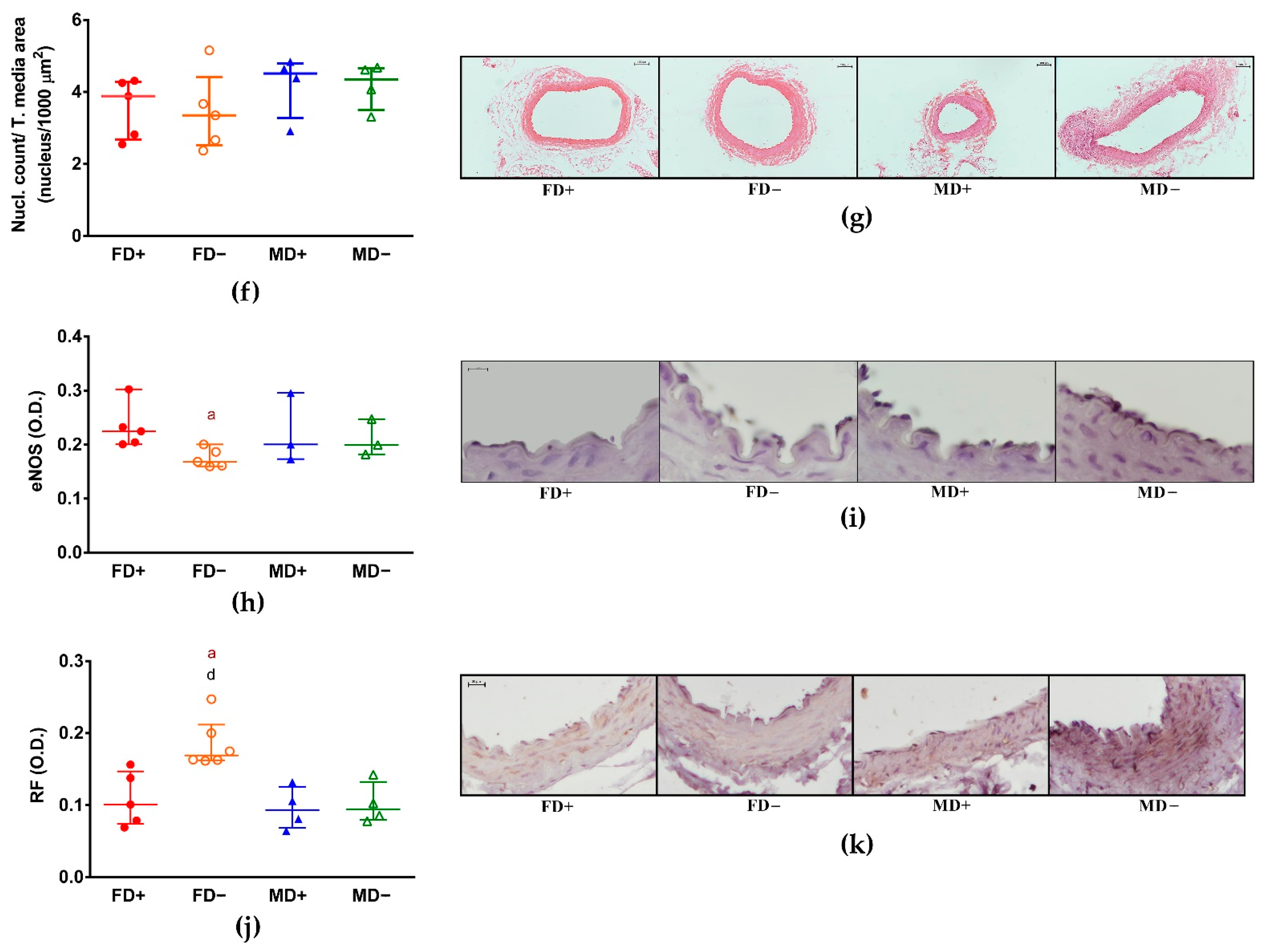 Nutrients 13 00704 g003b Nutrients 13 00704 g003b