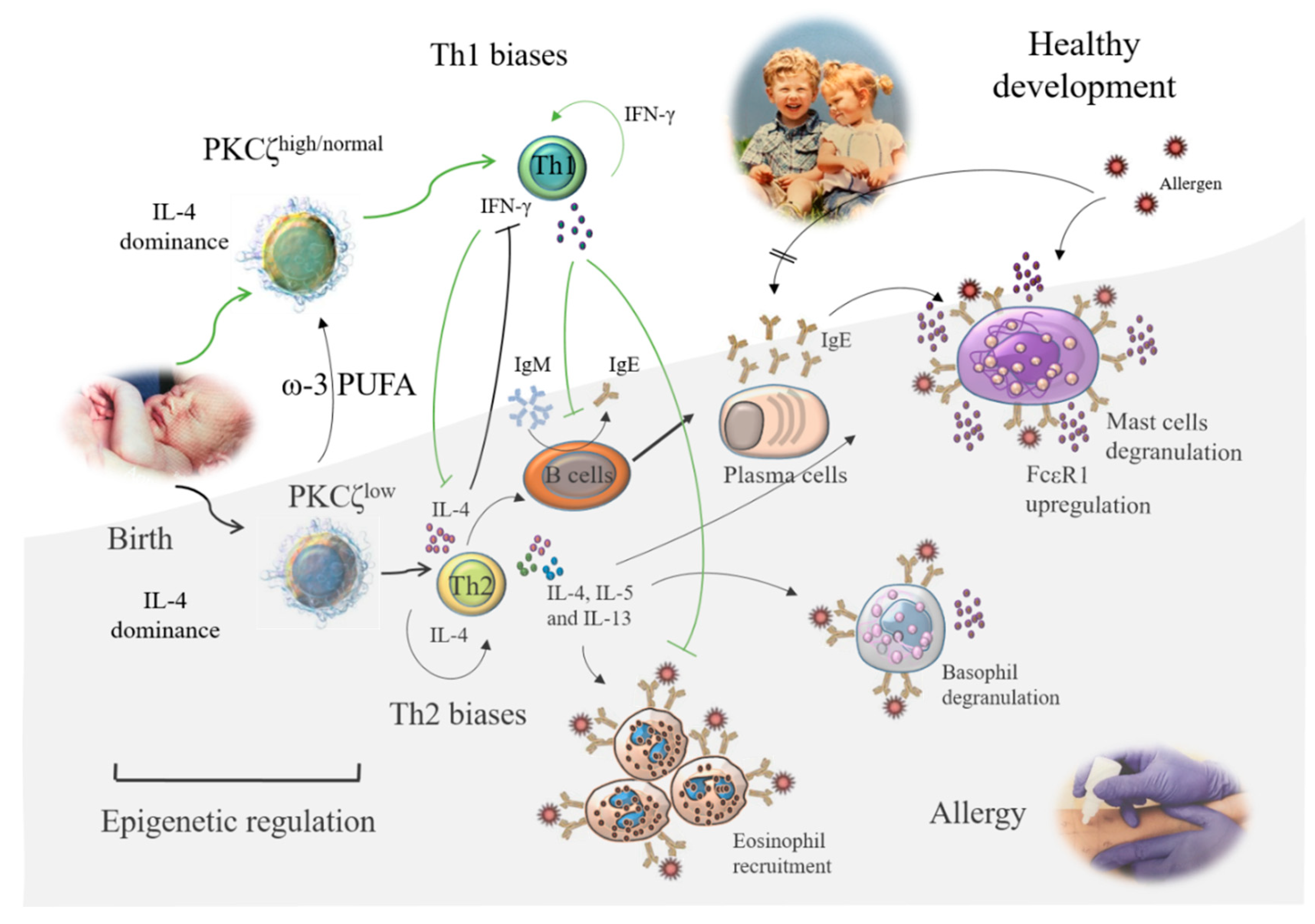 Nutrients 13 00724 g002