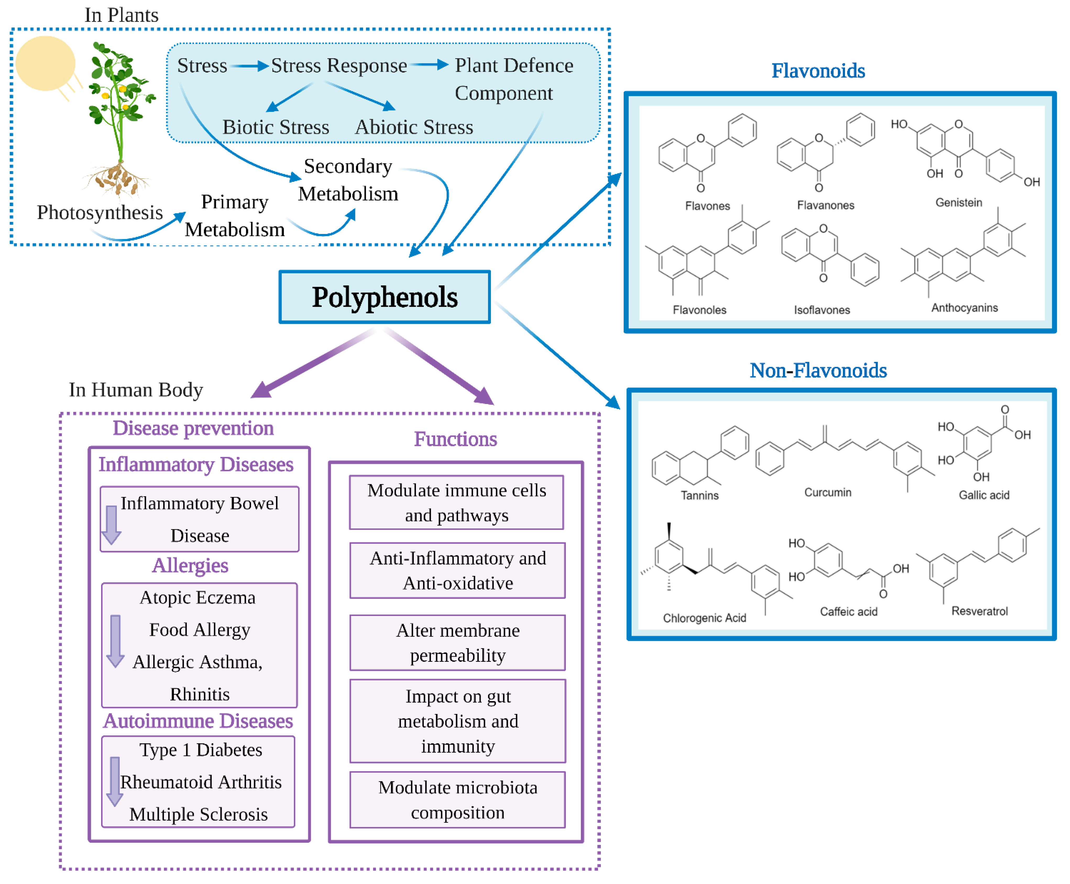 Nutrients 13 00728 g001 Nutrients 13 00728 g001