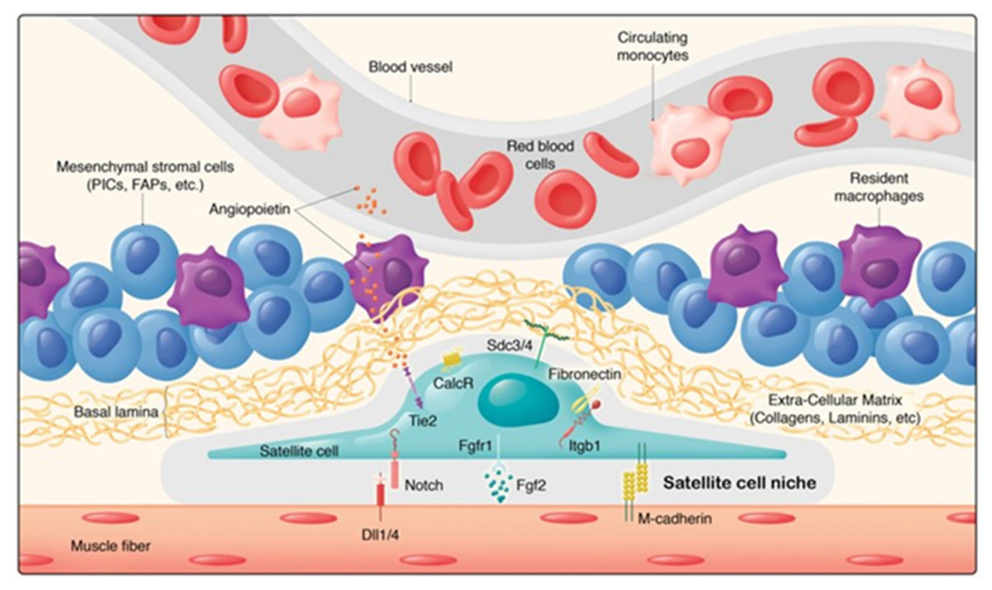 Nutrients 13 00729 g004