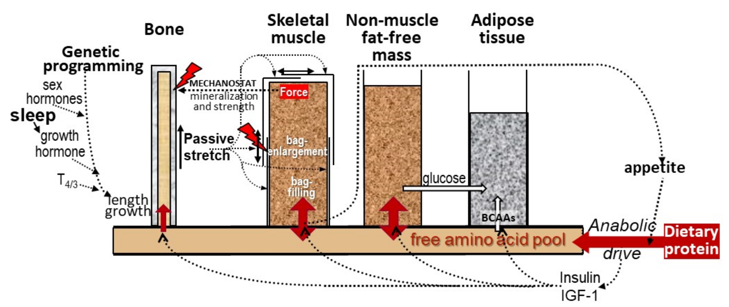 Nutrients 13 00729 g016