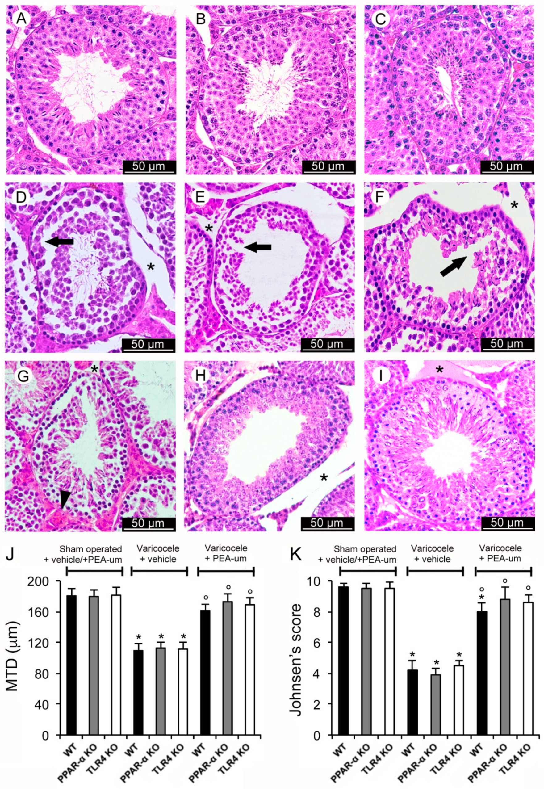 Nutrients 13 00734 g001