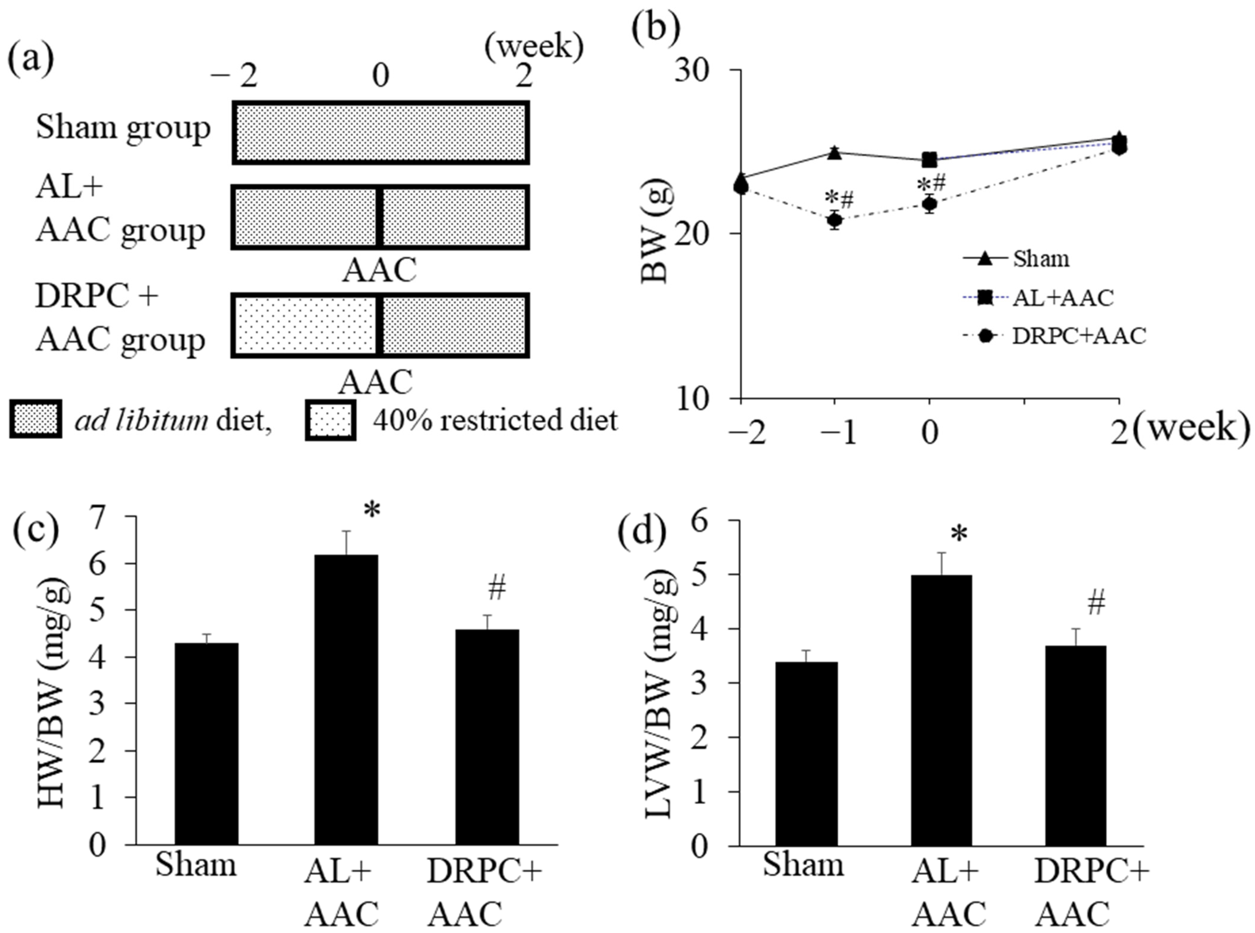 Nutrients 13 00737 g001