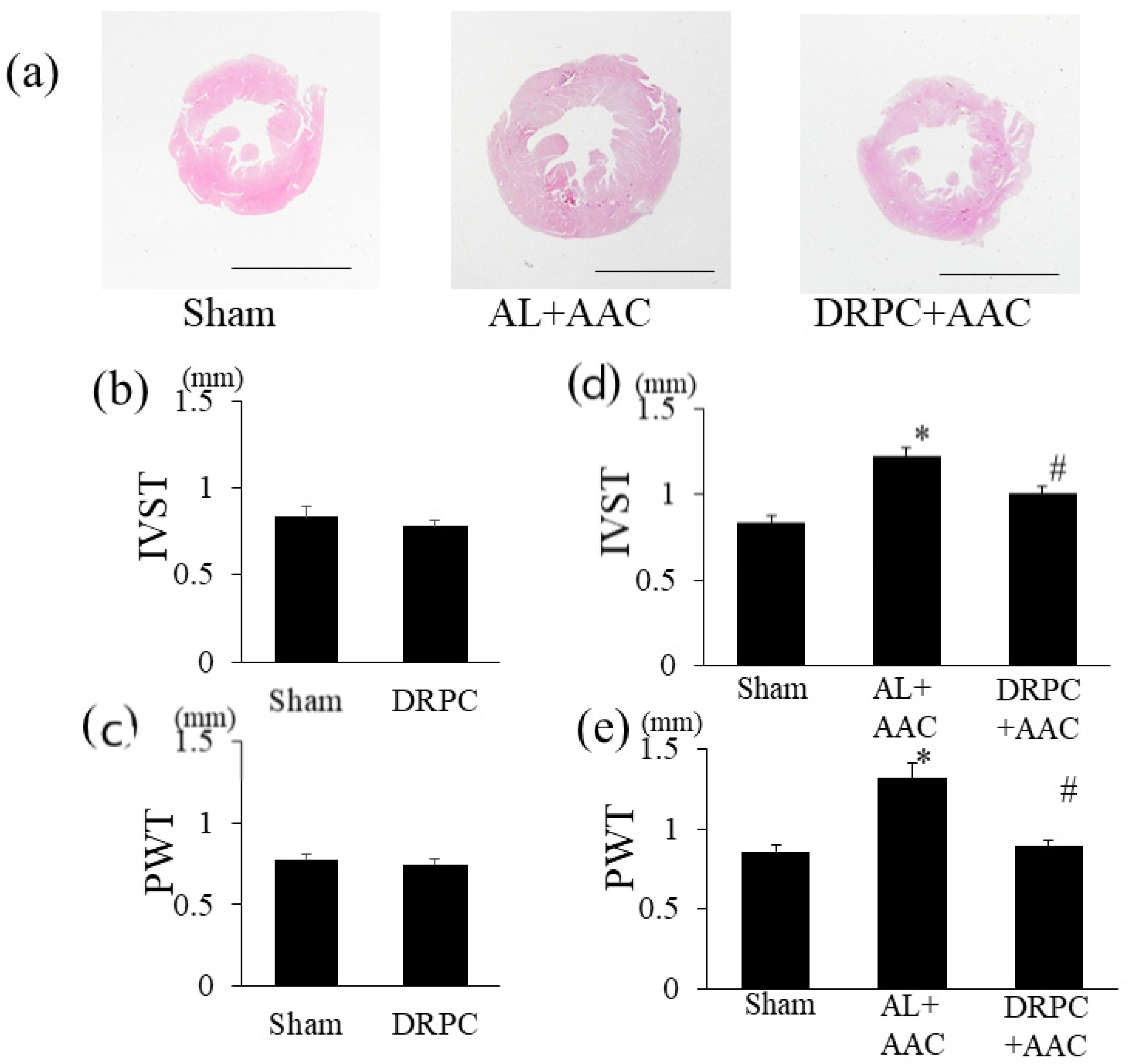 Nutrients 13 00737 g002