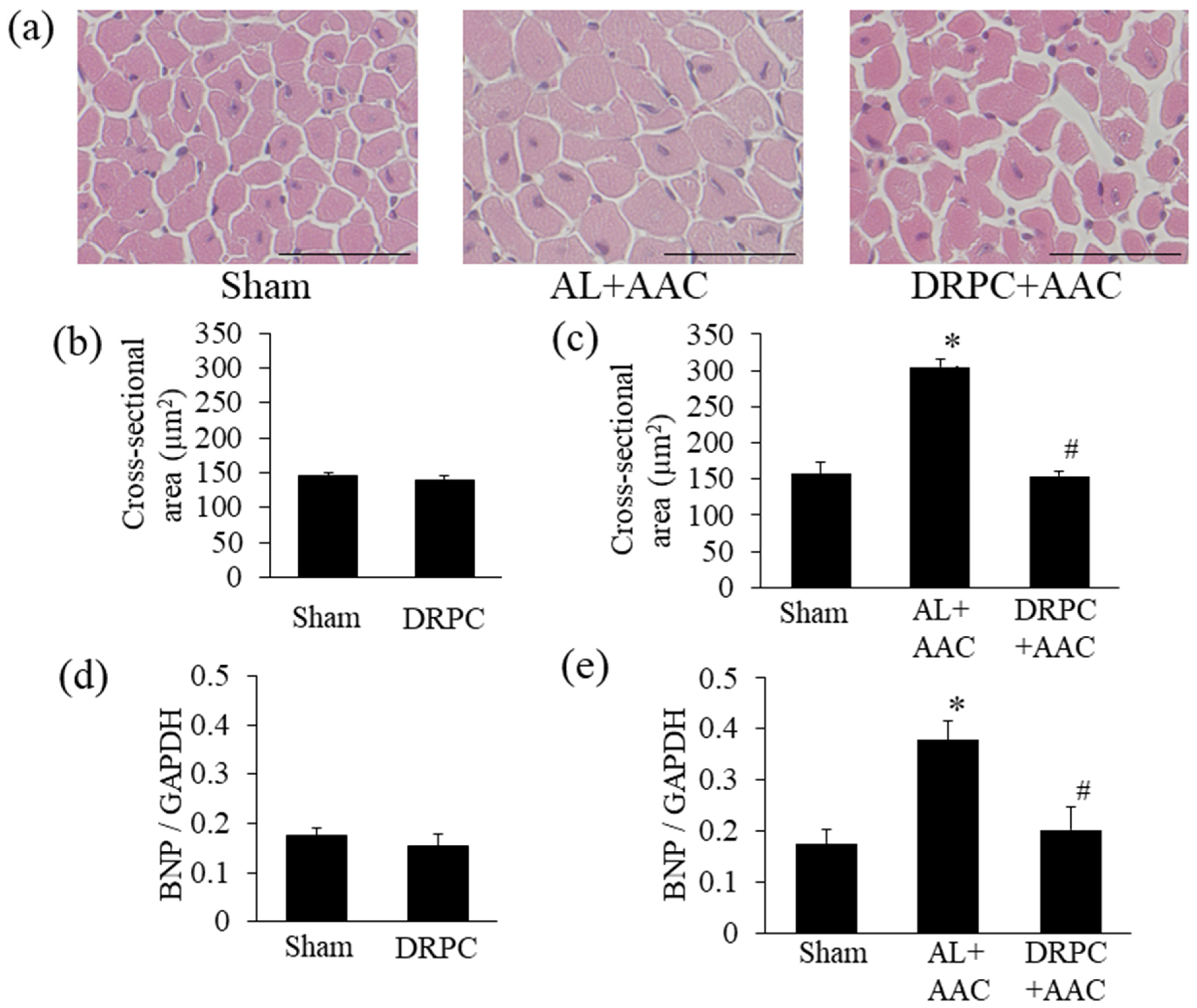 Nutrients 13 00737 g003