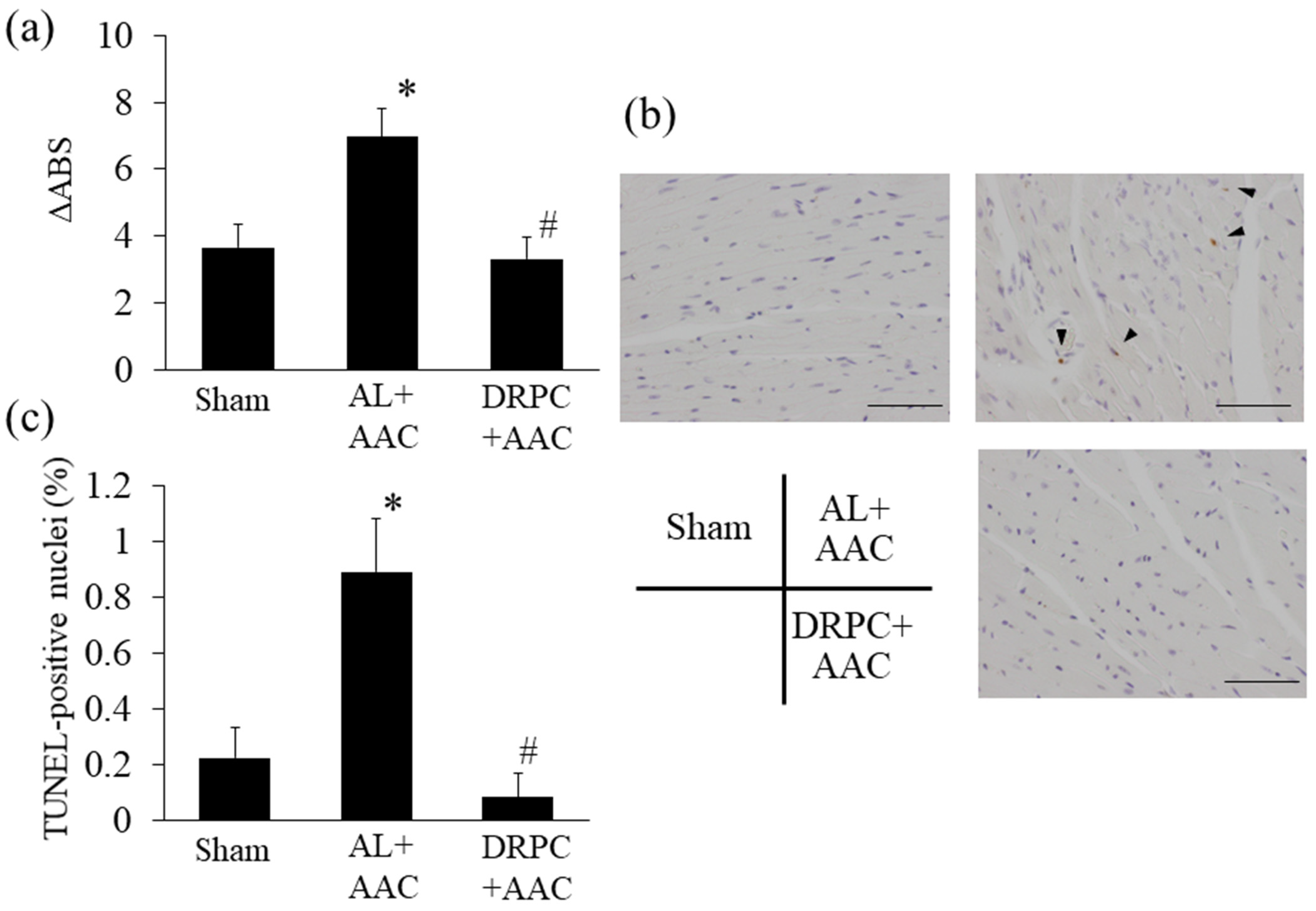 Nutrients 13 00737 g008