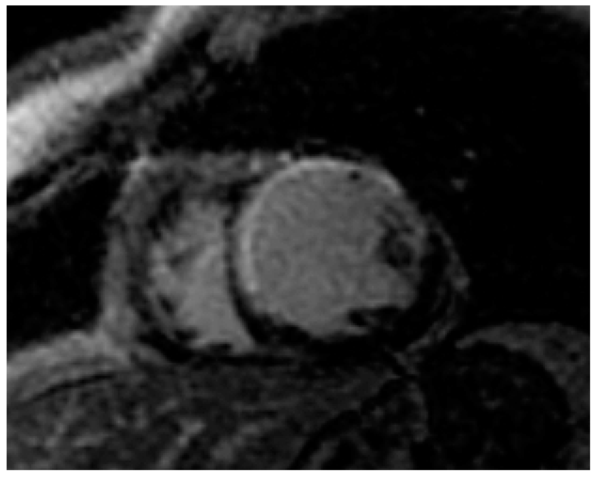 Nutrients 13 00744 g002