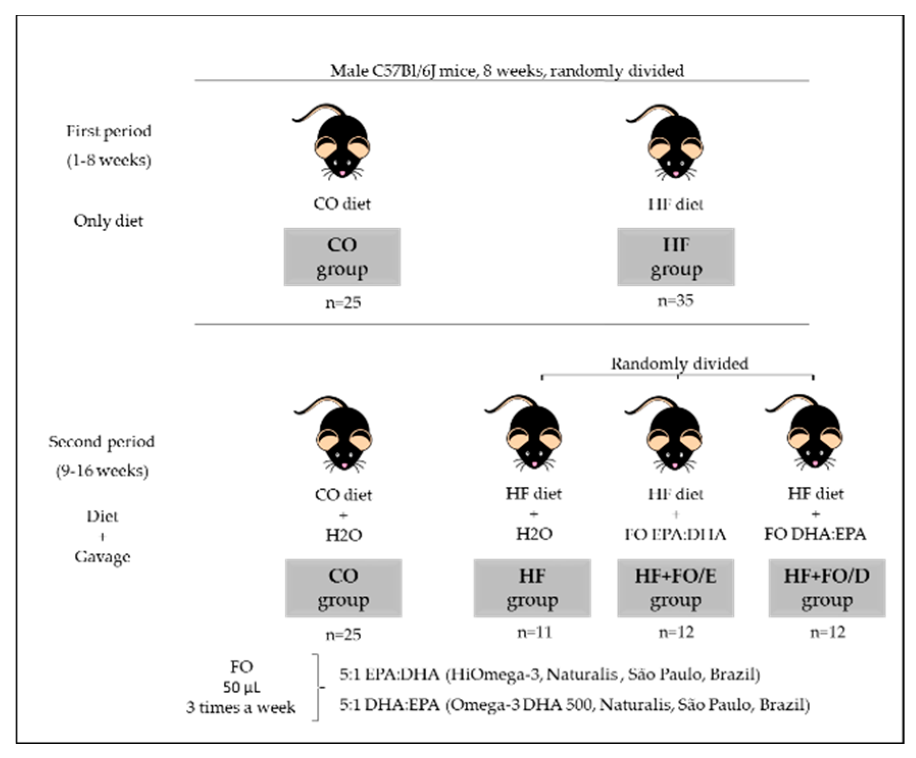 Nutrients 13 00754 g001
