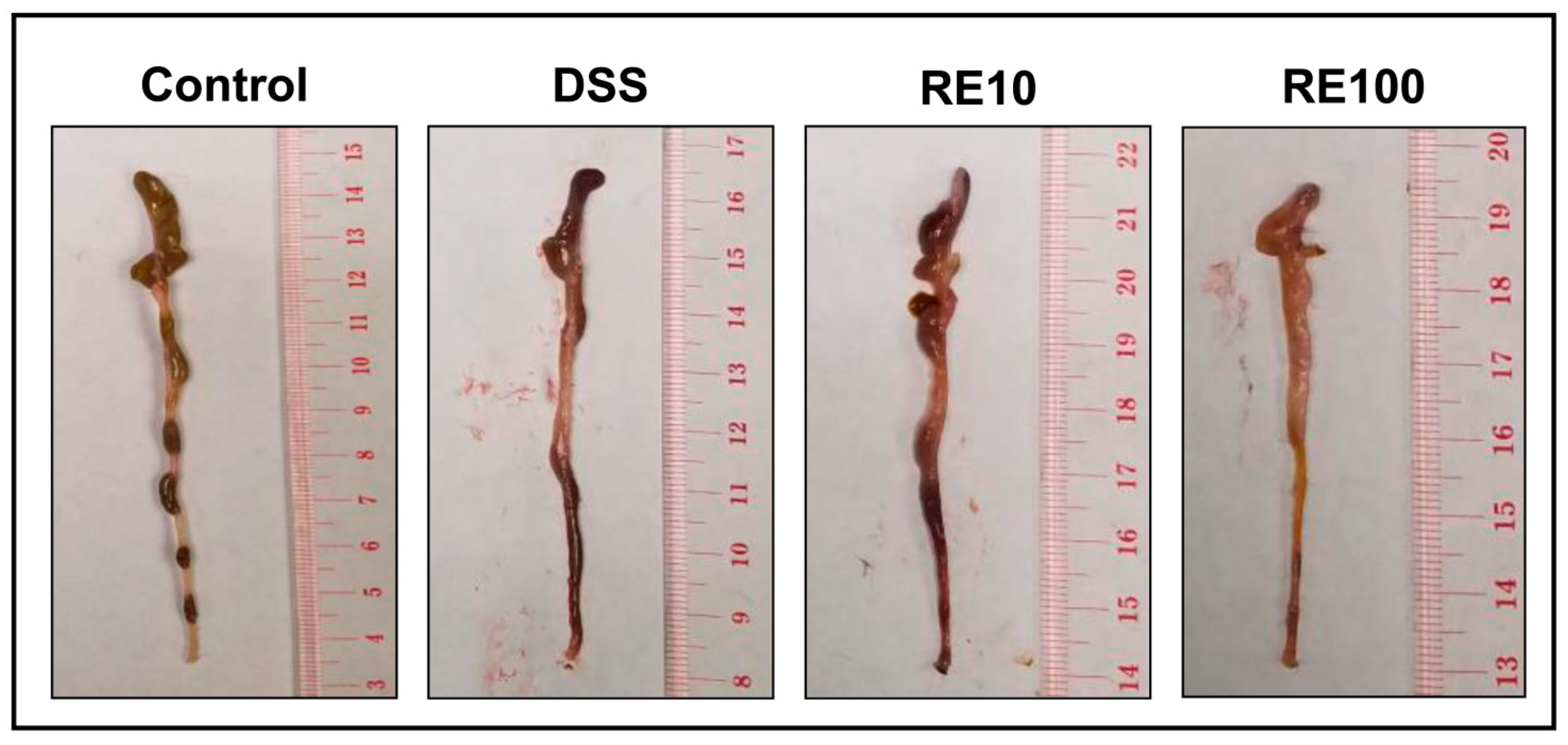 Nutrients 13 00773 g005