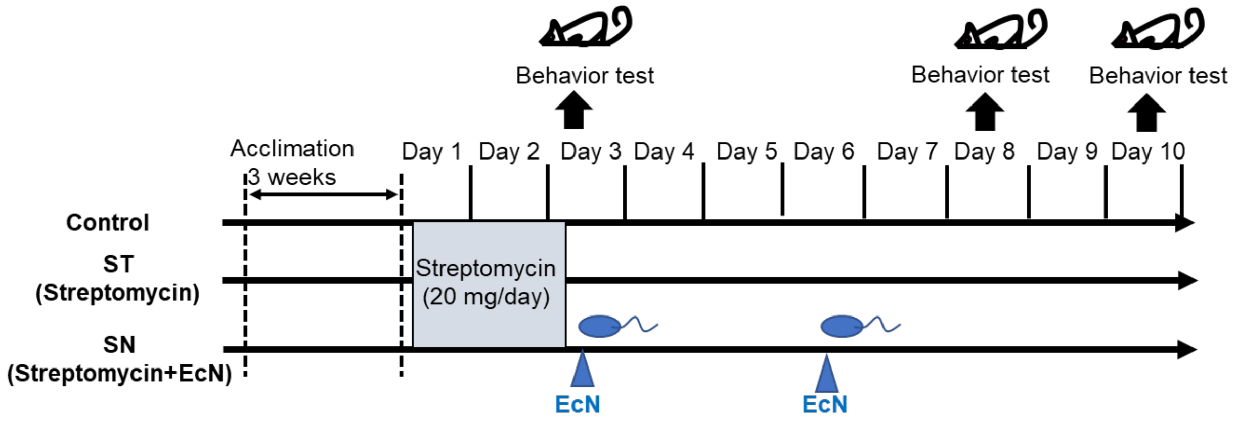 Nutrients 13 00811 g001