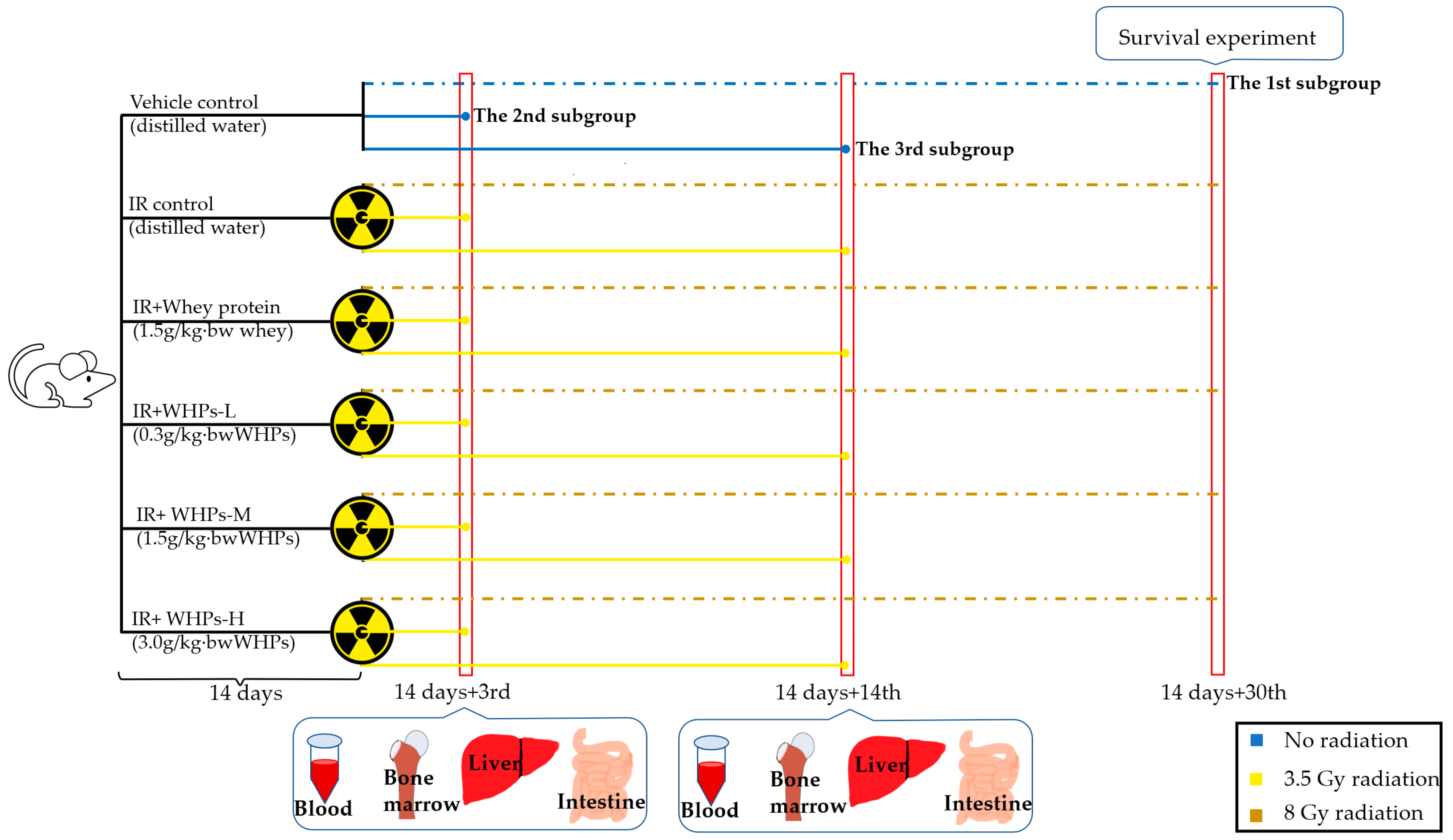 Nutrients 13 00816 g001