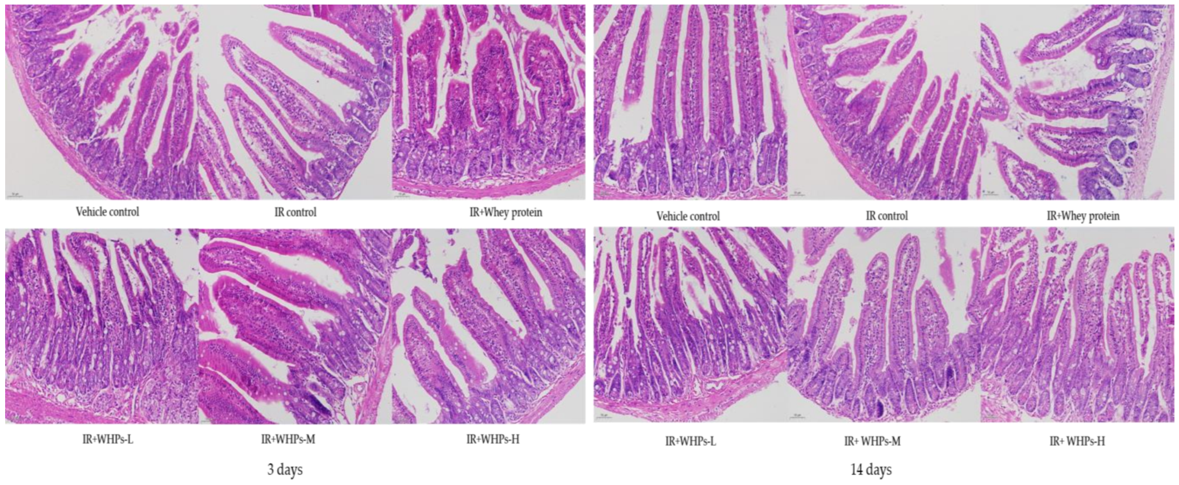 Nutrients 13 00816 g006