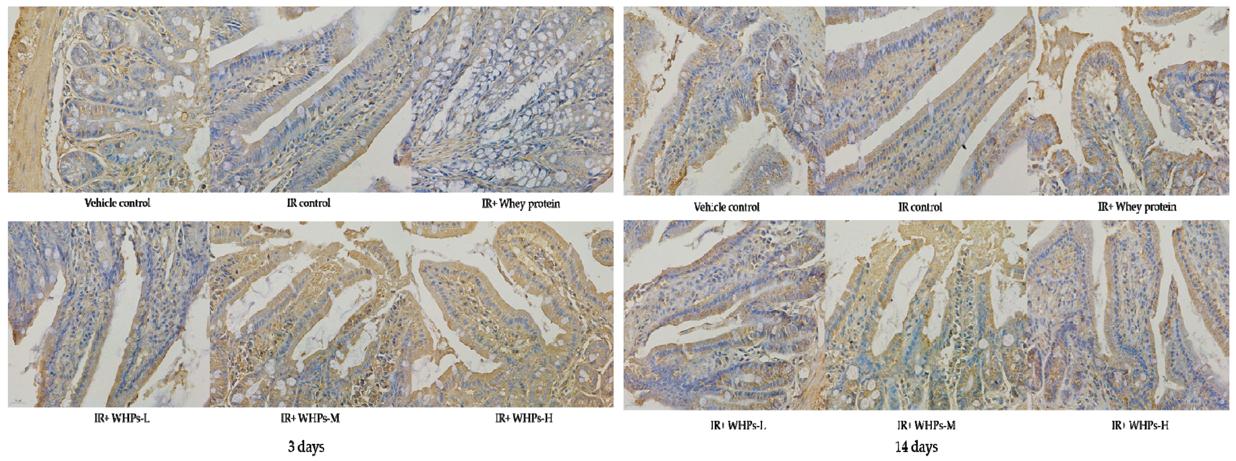 Nutrients 13 00816 g007