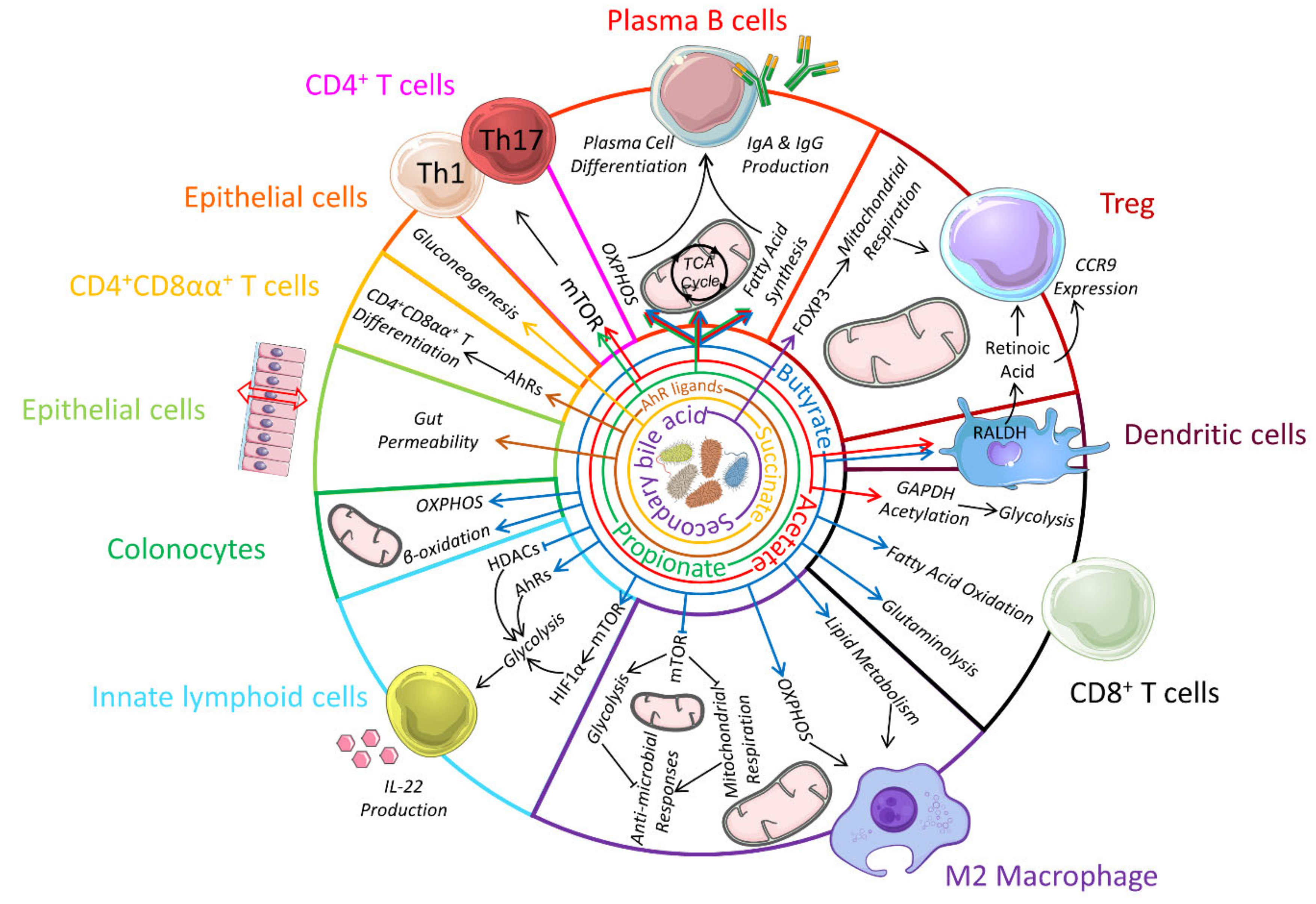 Nutrients 13 00823 g002