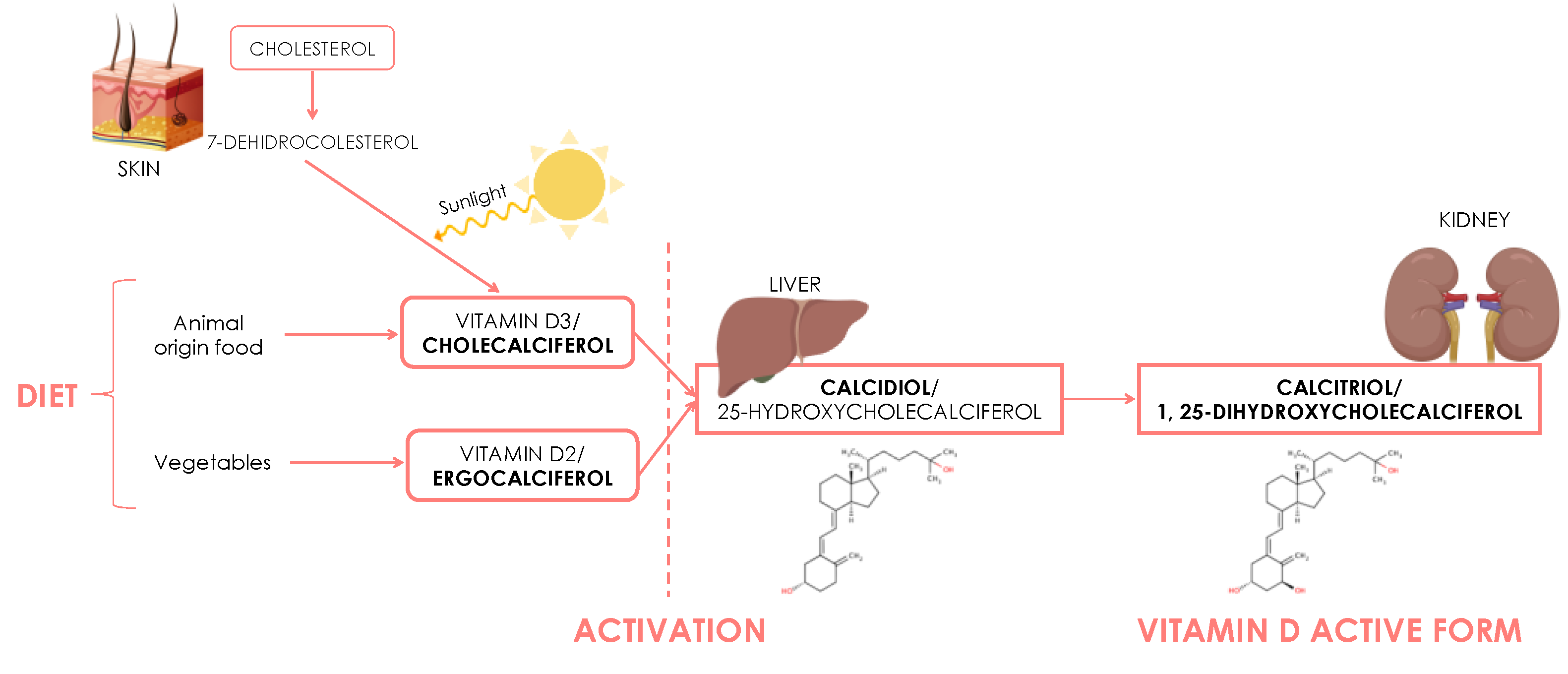 Nutrients 13 00830 g001 Nutrients 13 00830 g001