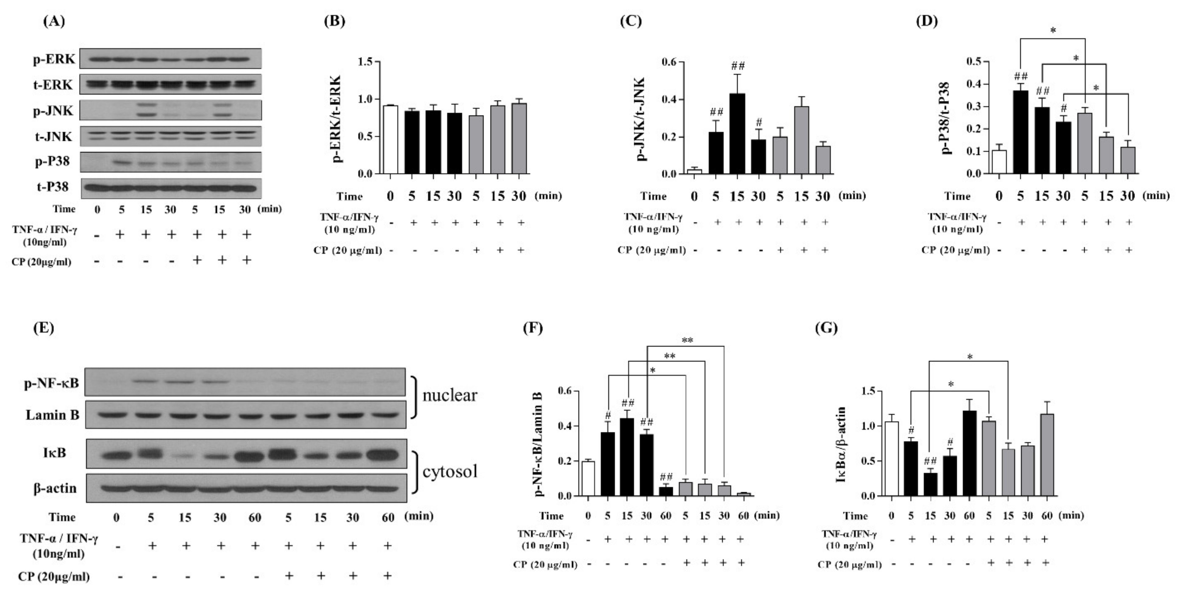 Nutrients 13 00839 g004