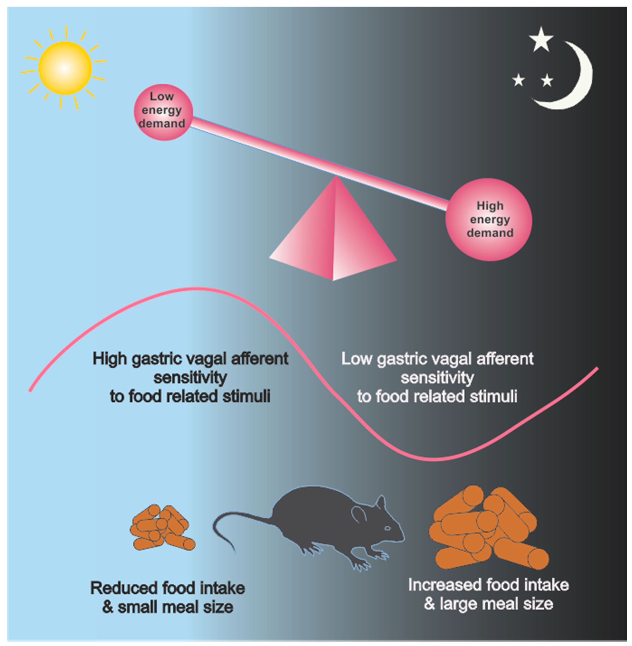 Nutrients 13 00844 g002
