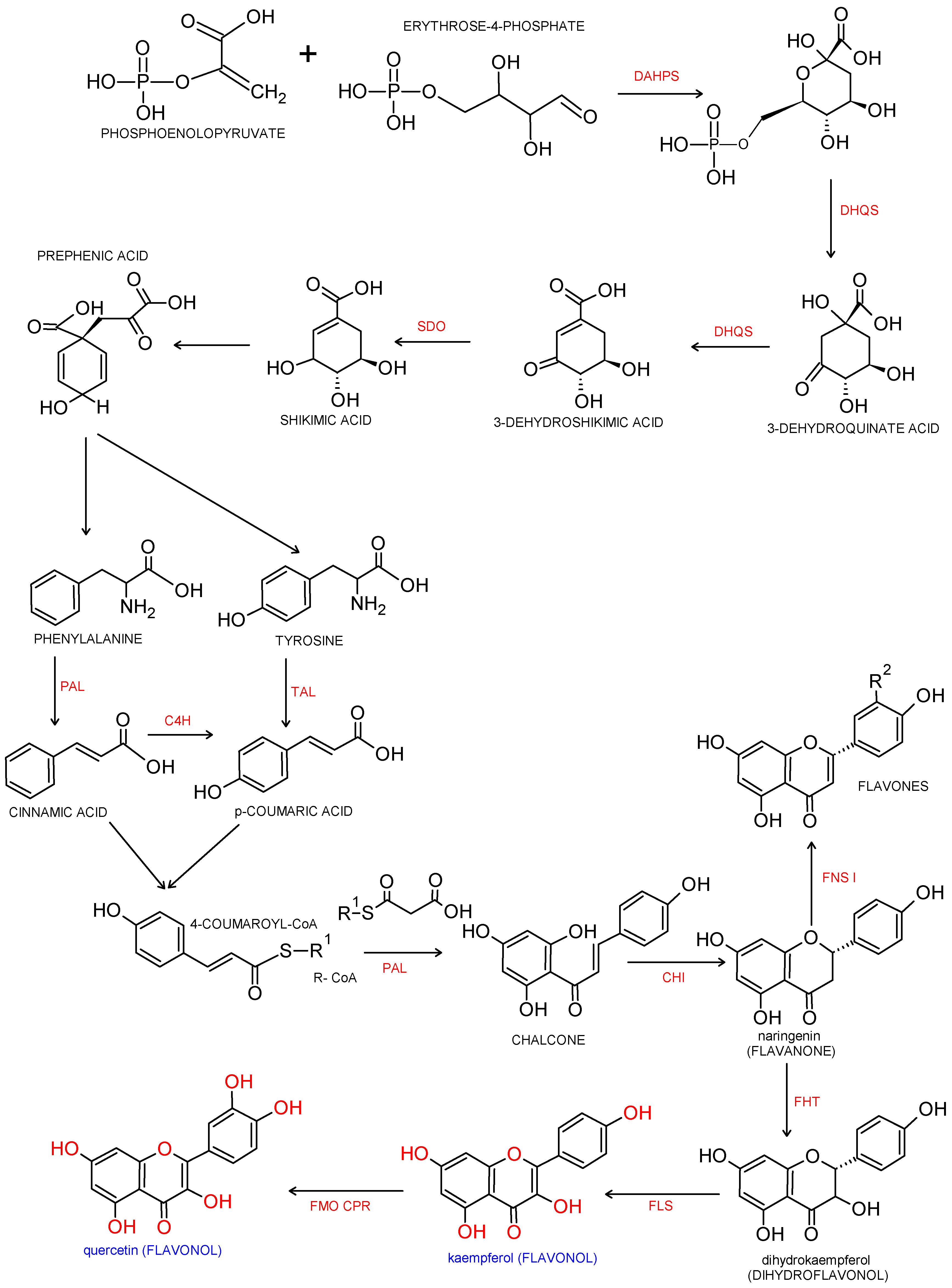 Nutrients 13 00845 g001 Nutrients 13 00845 g001