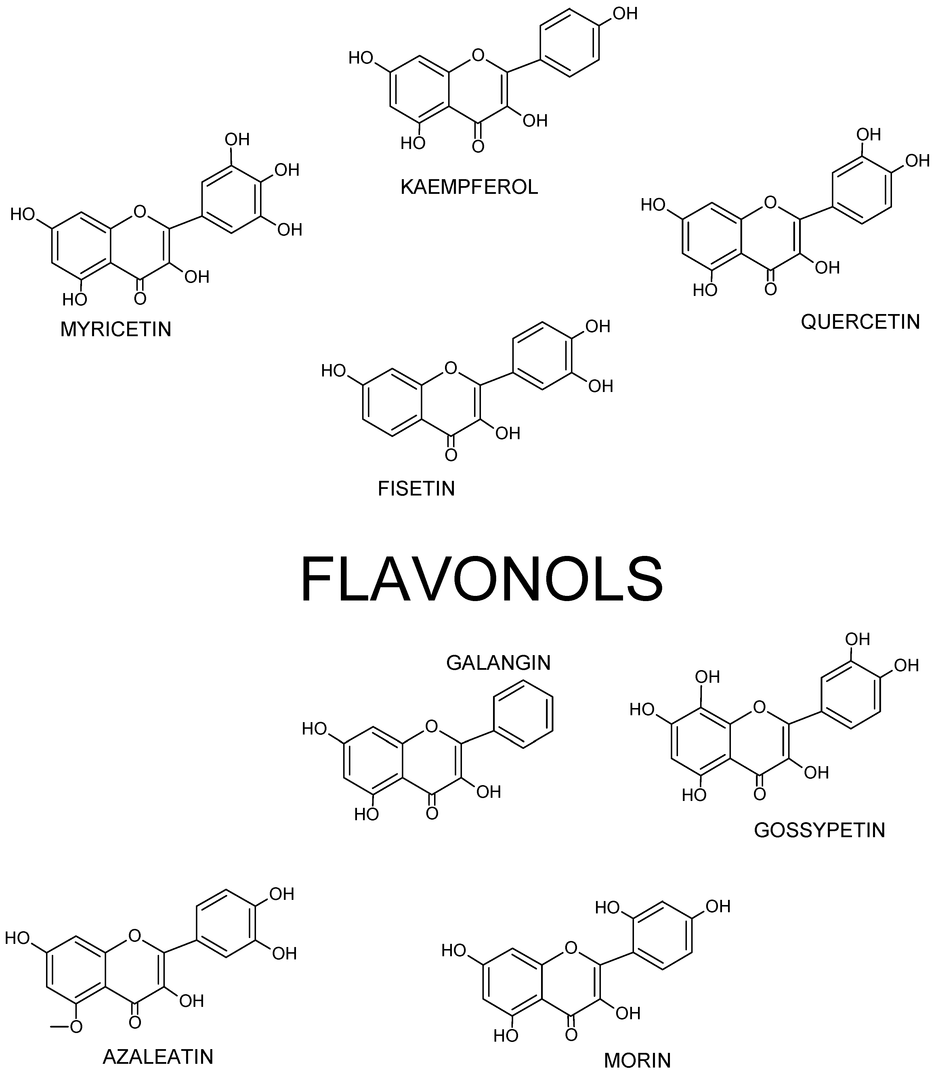 Nutrients 13 00845 g003 Nutrients 13 00845 g003