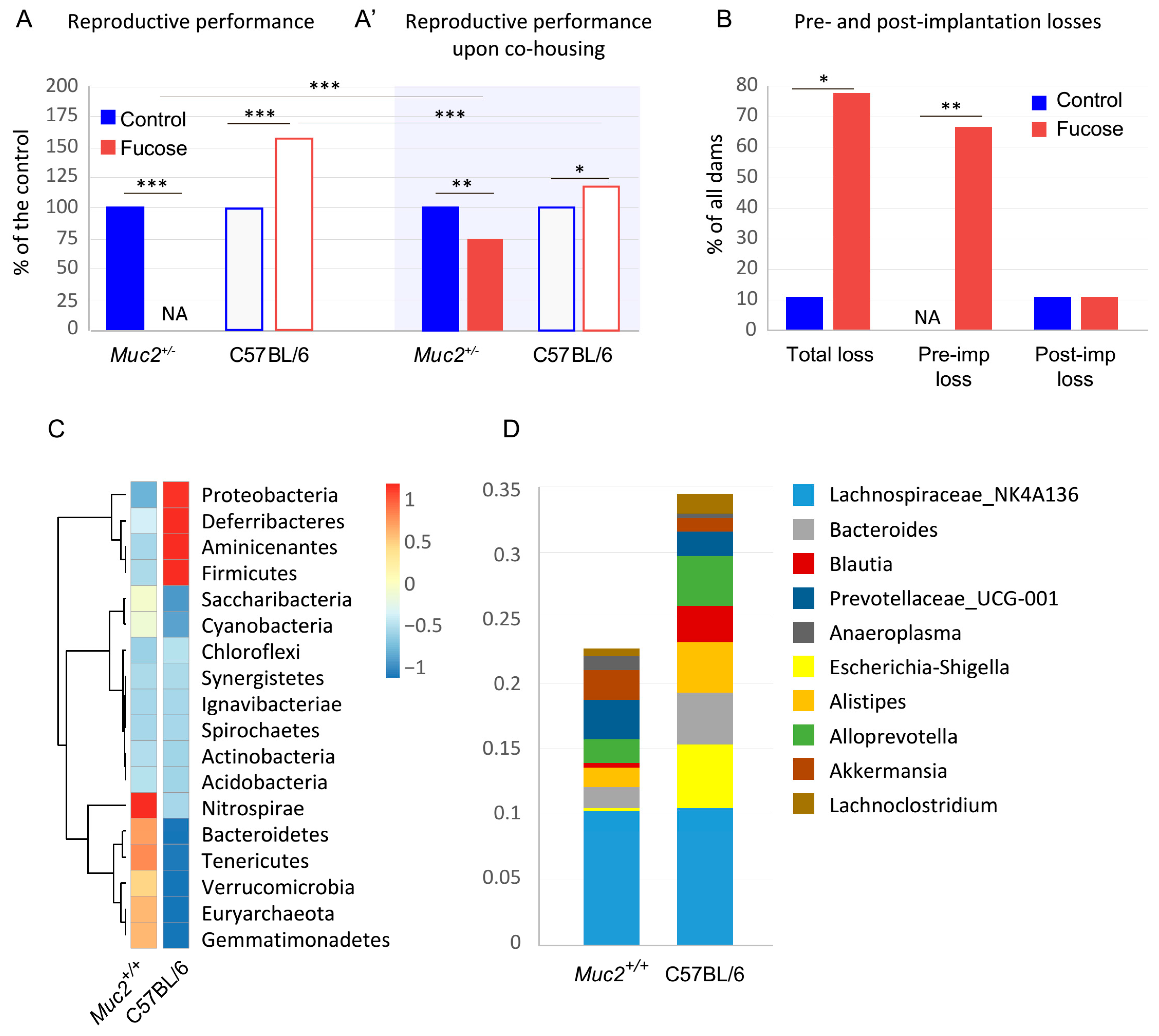 Nutrients 13 00855 g001