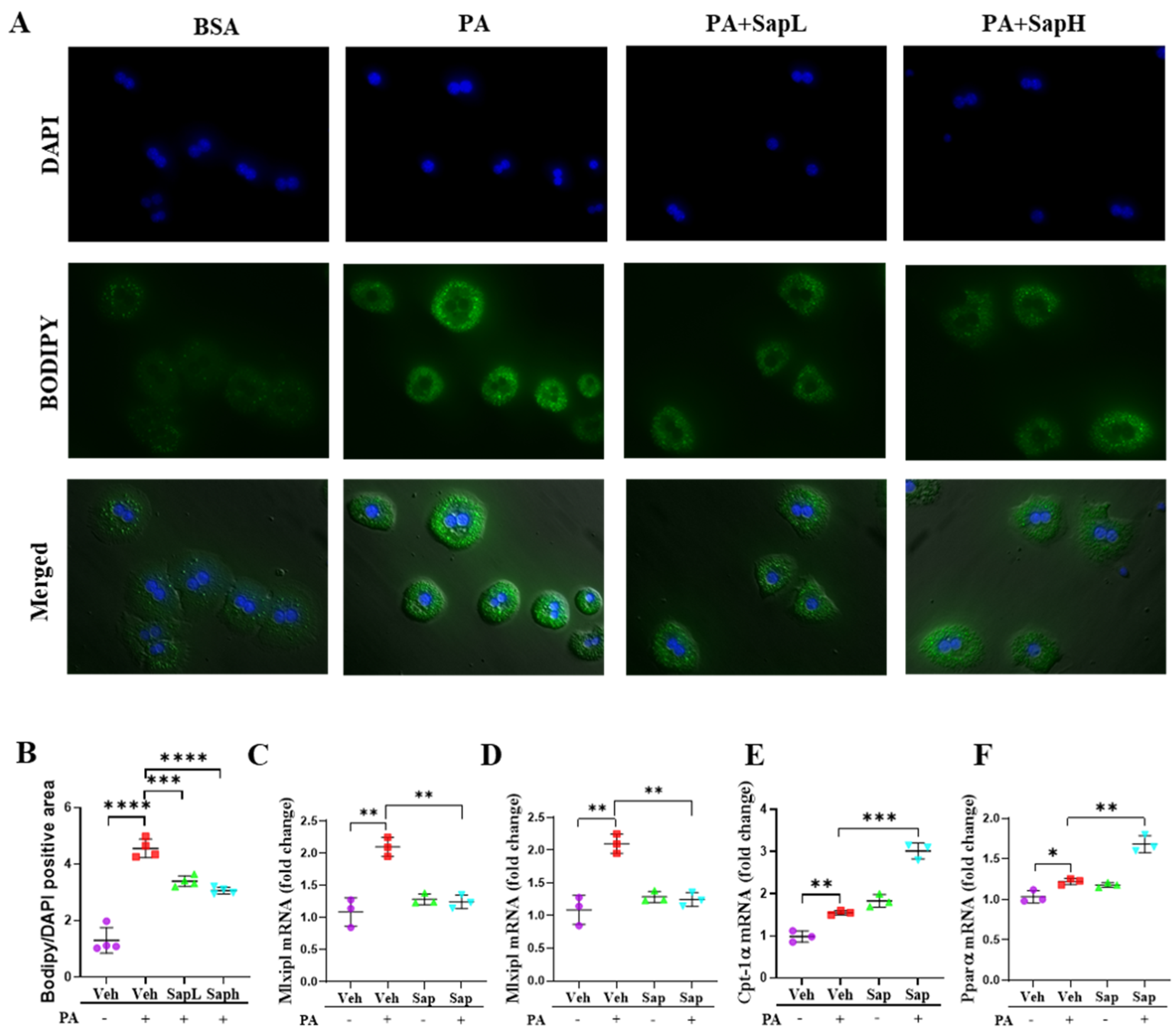 Nutrients 13 00856 g002