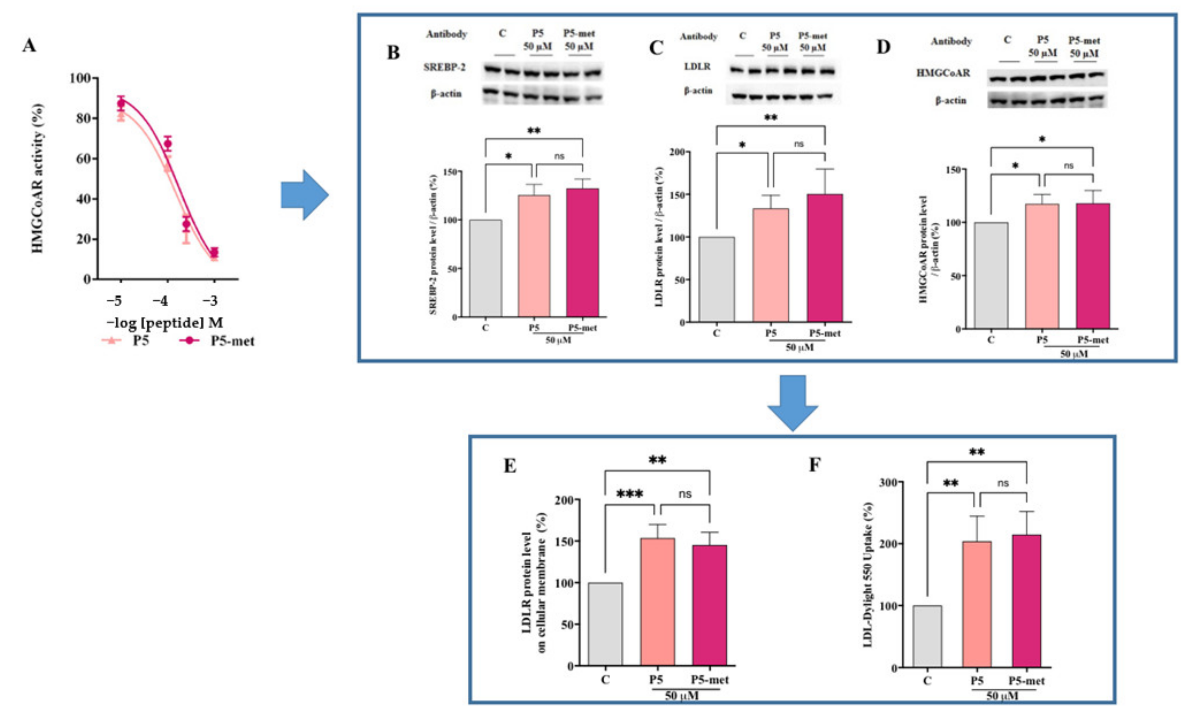 Nutrients 13 00863 g004 Nutrients 13 00863 g004
