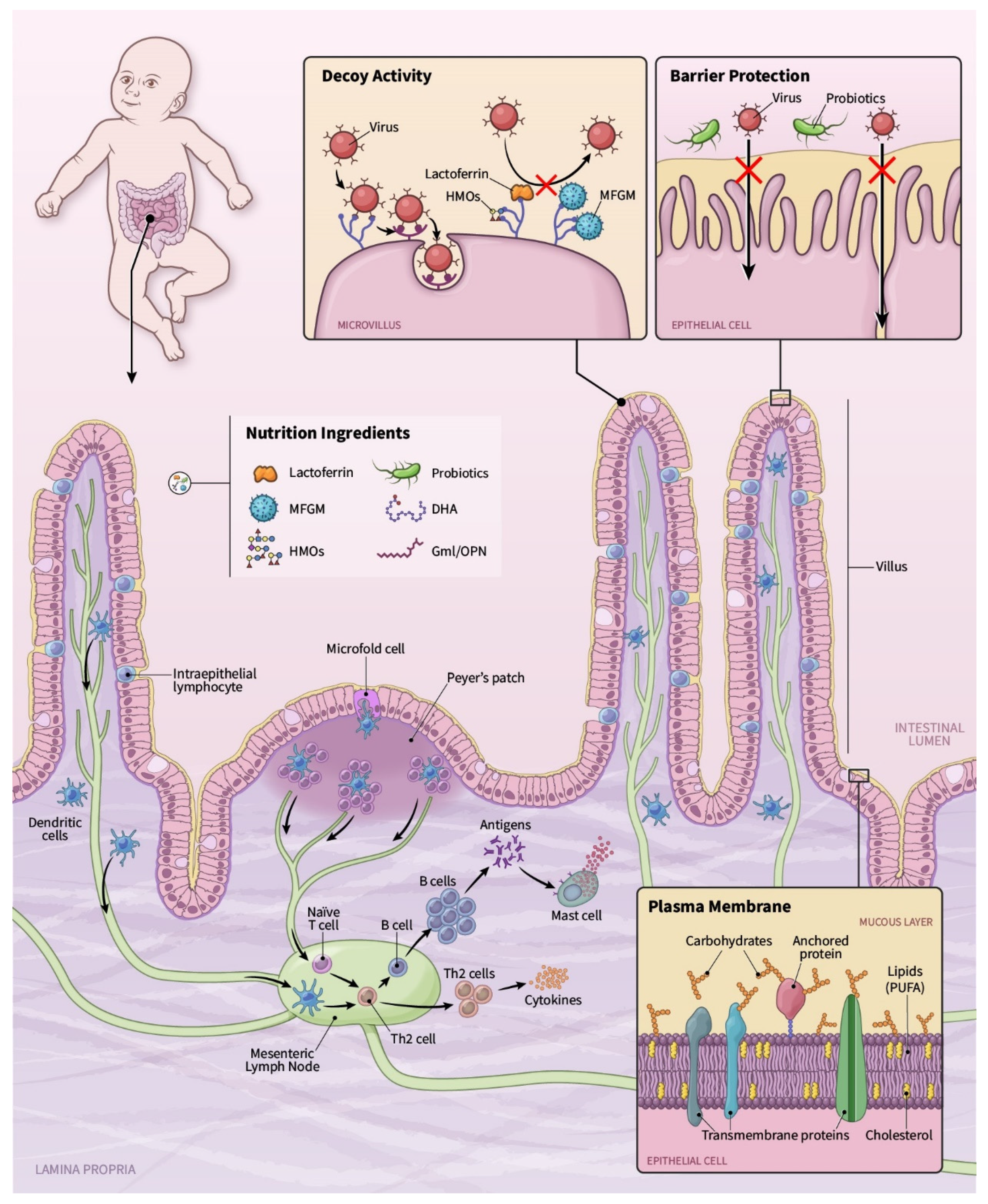 Nutrients 13 00870 g001 Nutrients 13 00870 g001