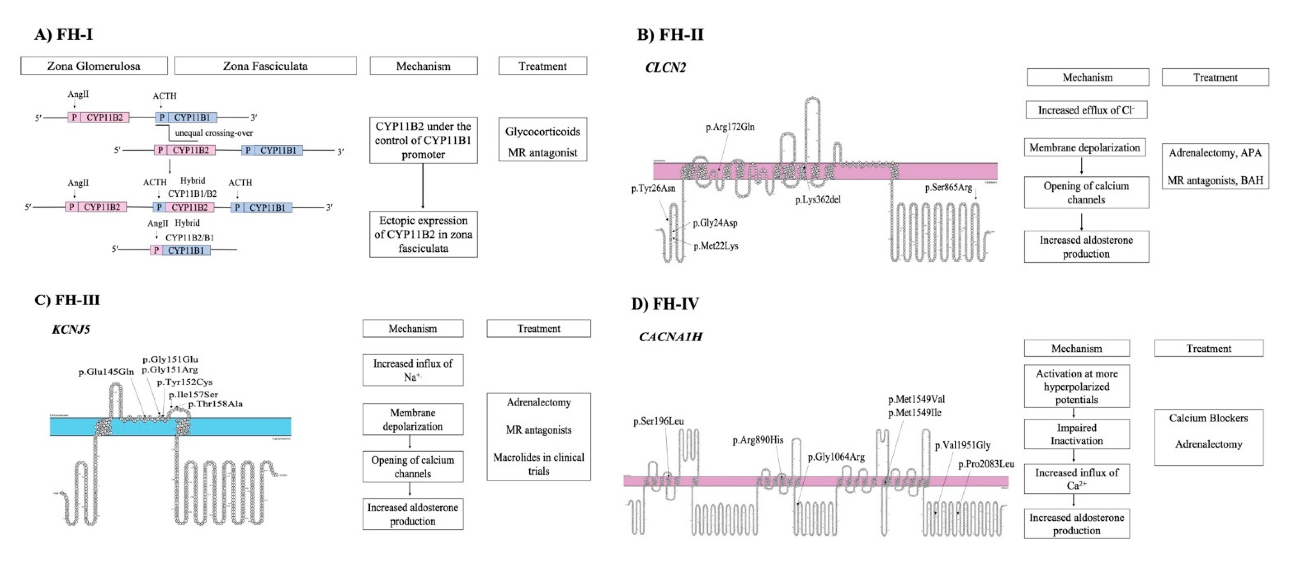 Nutrients 13 00875 g001